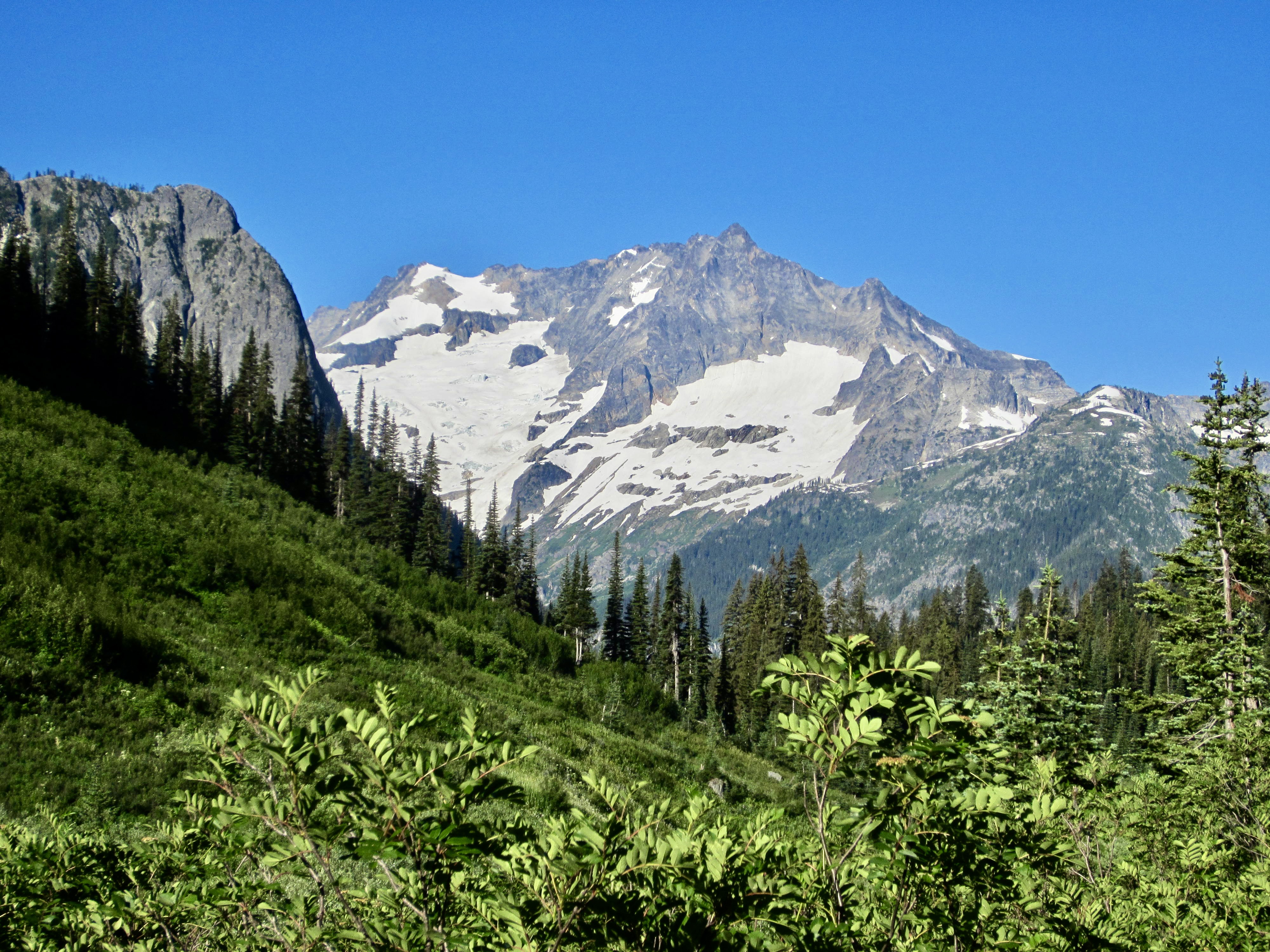 North face shop mount logan