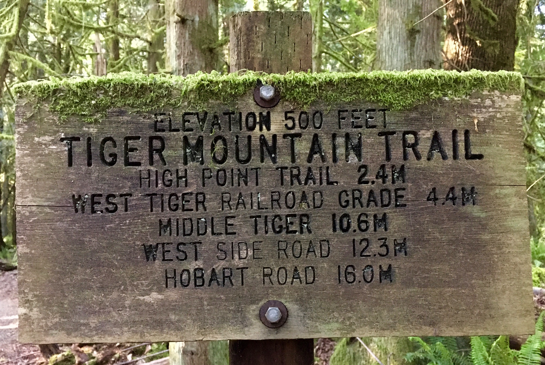 tiger mountain elevation gain