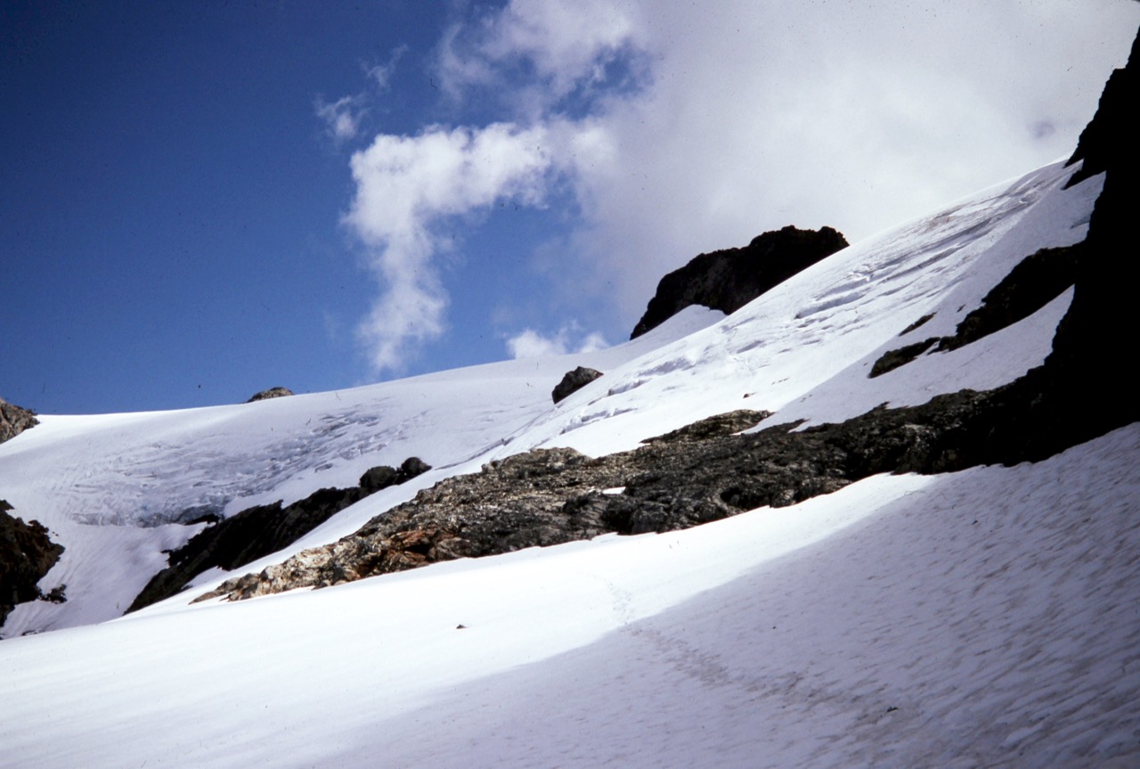 The Whitehorse Glacier sweeps upward to the summit of Whitehorse Mountain in the Cascades