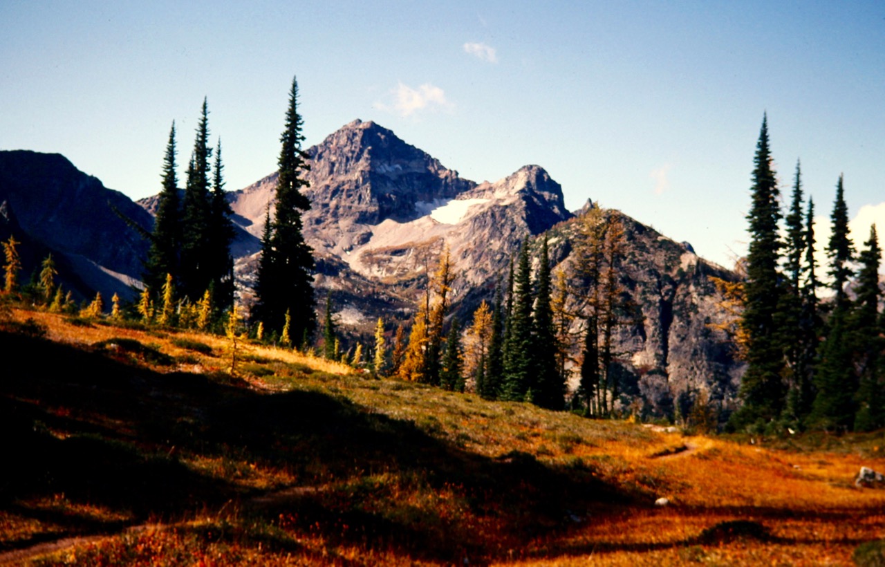 Evening light shines on Black Peak with reddish heather in the foreground in the North Cascades