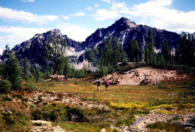Emerald Peak and Saska Peak stand above Borealis Meadow in the Chelan Mountains