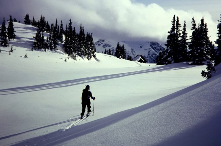 A lone skier crosses a snowy meadow in evening sunlight
