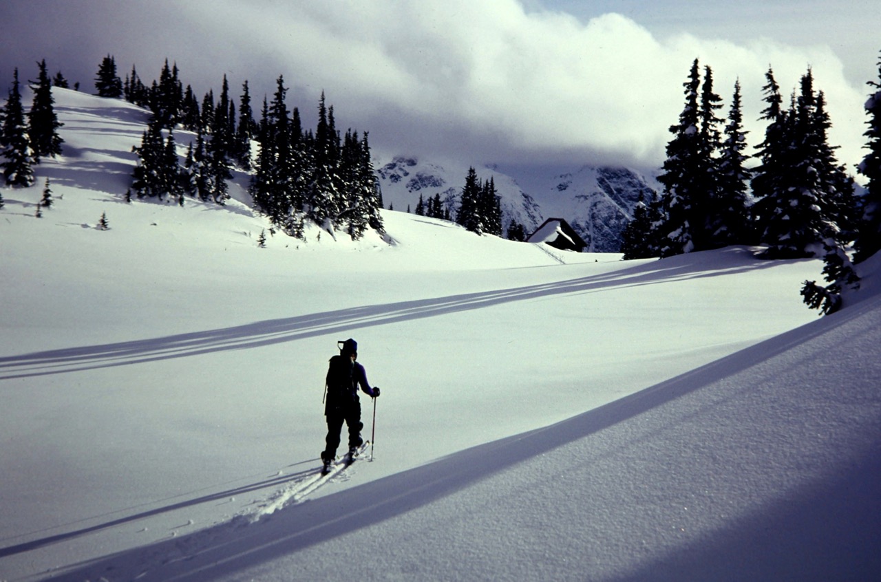 A lone skier crosses a snowy meadow in evening sunlight