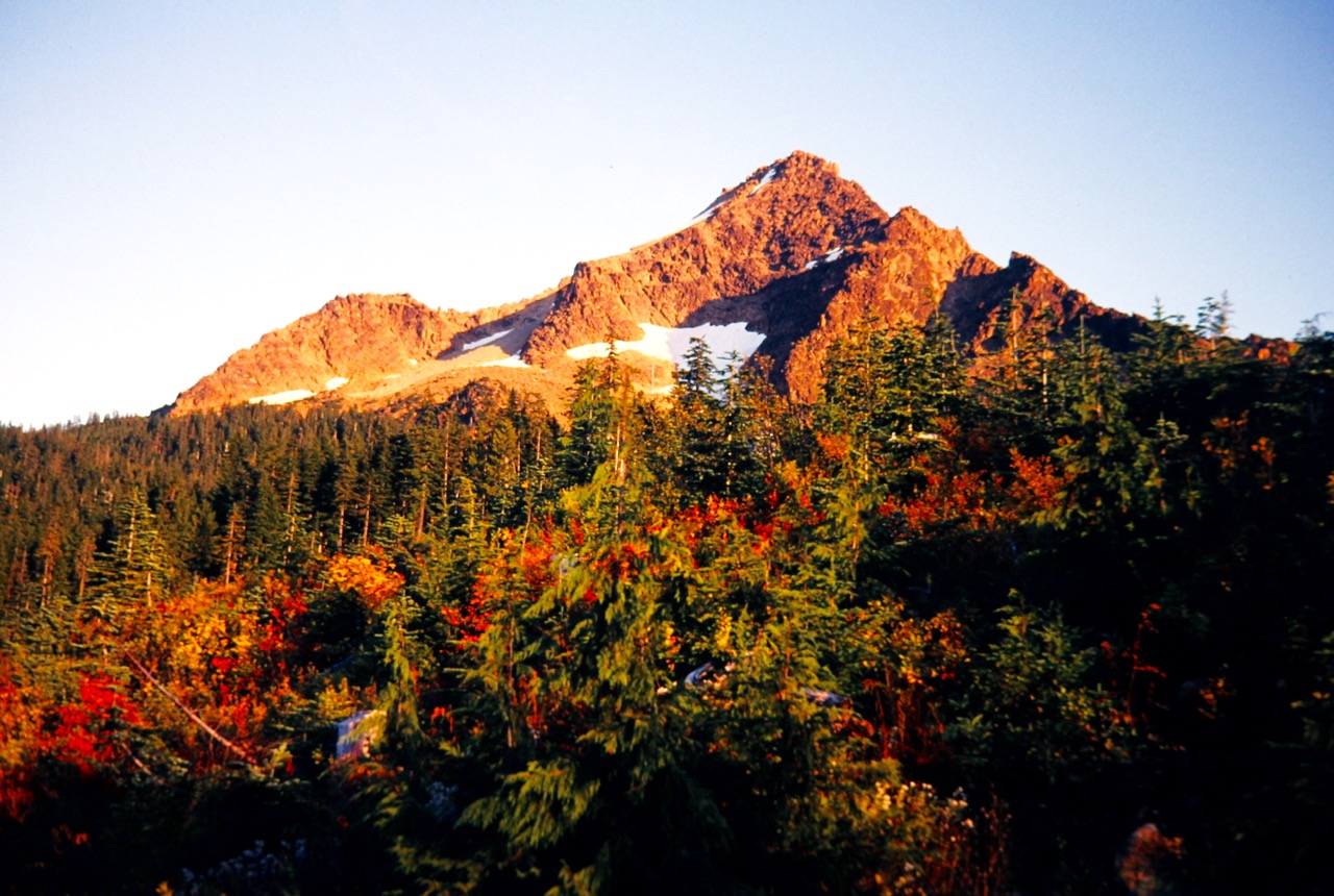 Evening sun lights up the orange rock of North Twin Sister above timberline