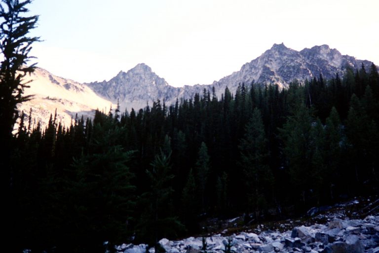 Morning sun lights up Reynolds Peak above a dark green forest
