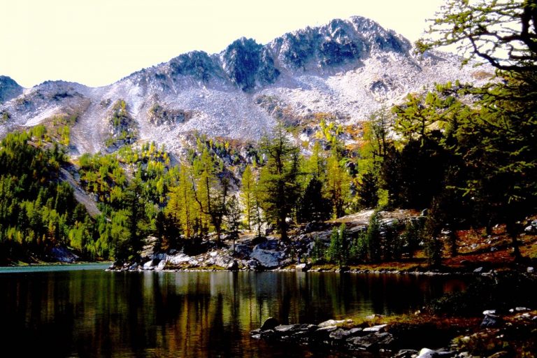 Cooney / Switchback Peak rises above a forest of golden trees and a green lake