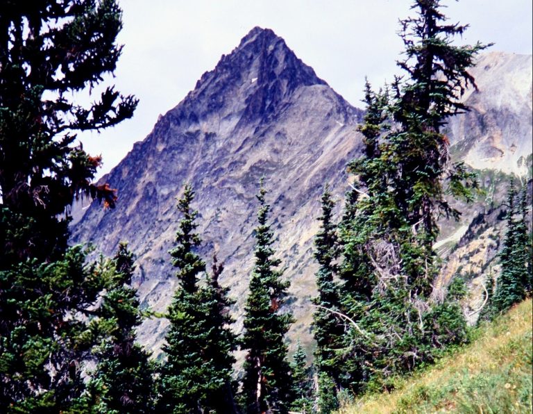 Sharp pyramidal Mesahchie Peak thrusts into the sky behind a row of trees