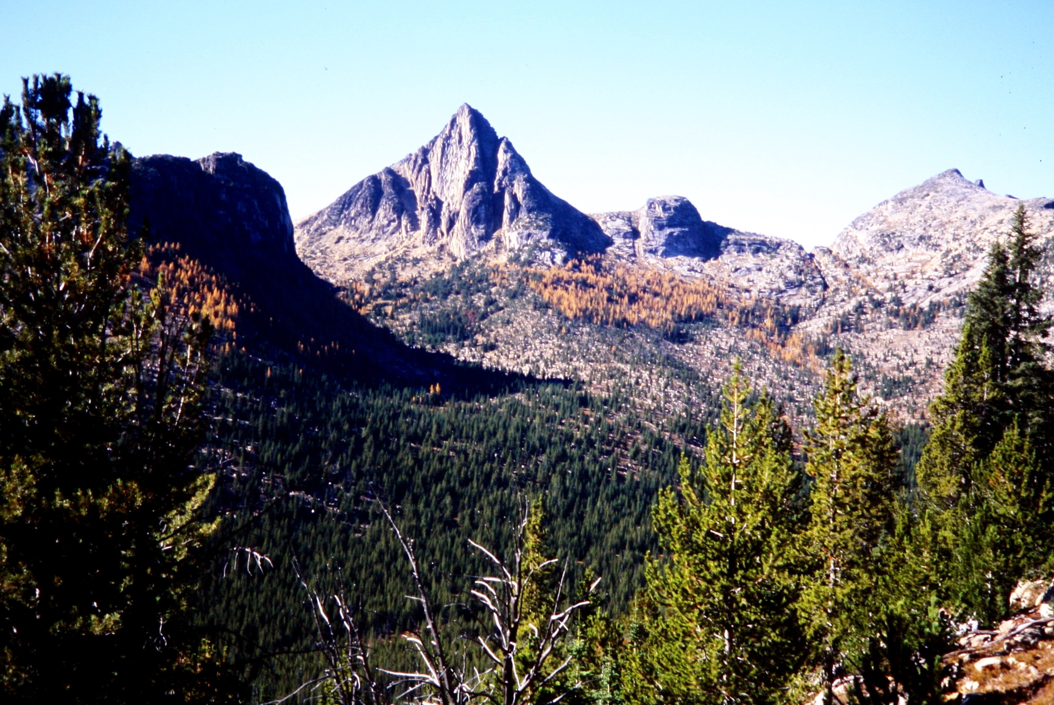 Cathedral Peak in the Similkameen Mountains in the Pasayten Wilderness in the distance with evergreen tree in the foreground