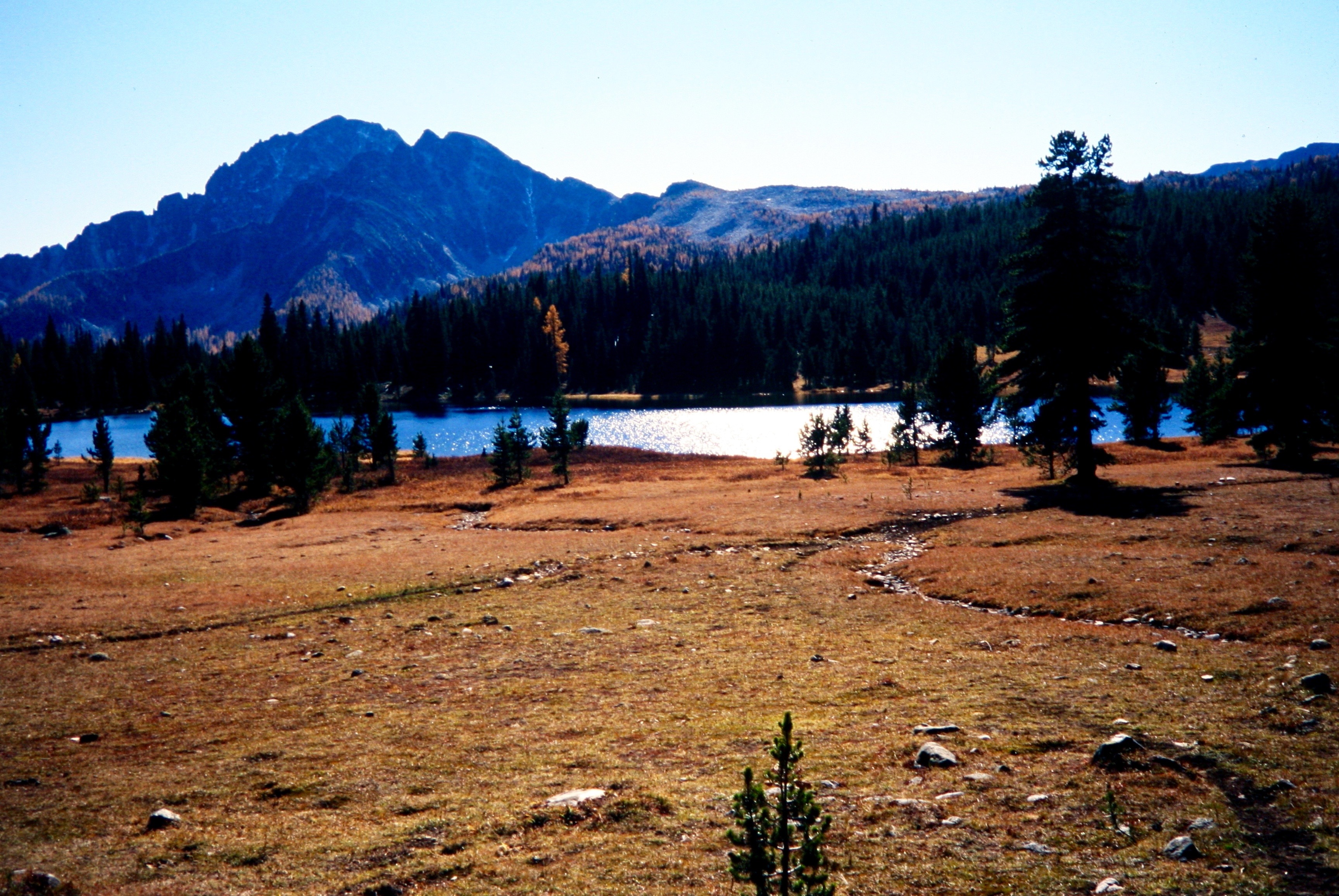 Remmel Mountain in the distance with Remmel Lake and fall colored meadow in the Similkameen Mountains in the Pasayten Wilderness