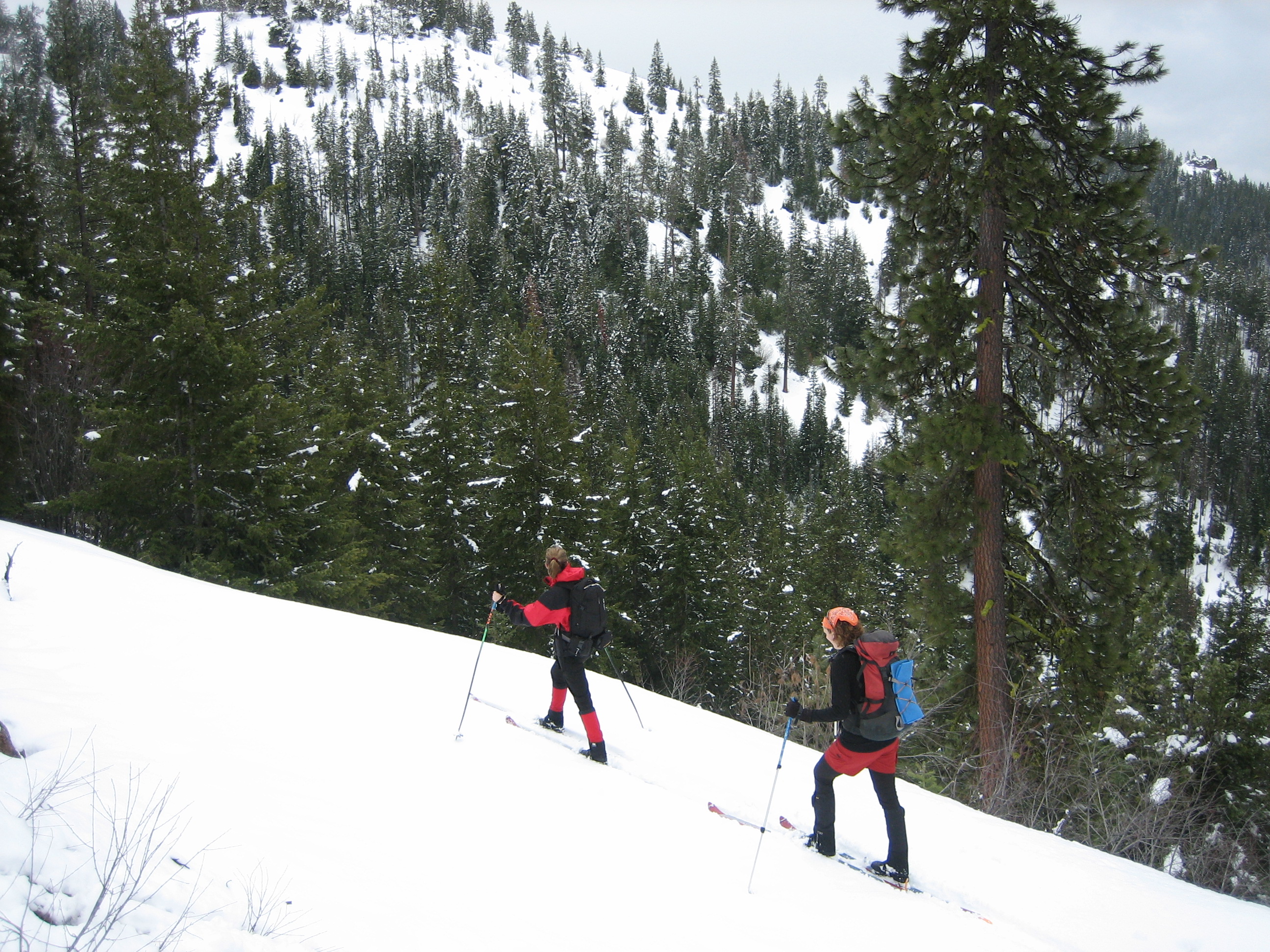 Two backcountry skiers glide up a snowy slope