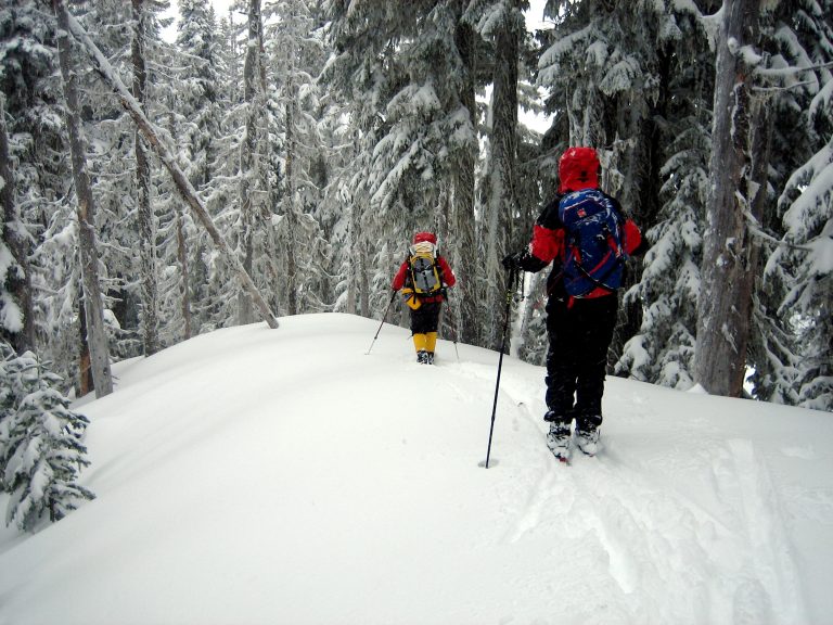 Two backcountry skiers traverse Elizabeth Ridge