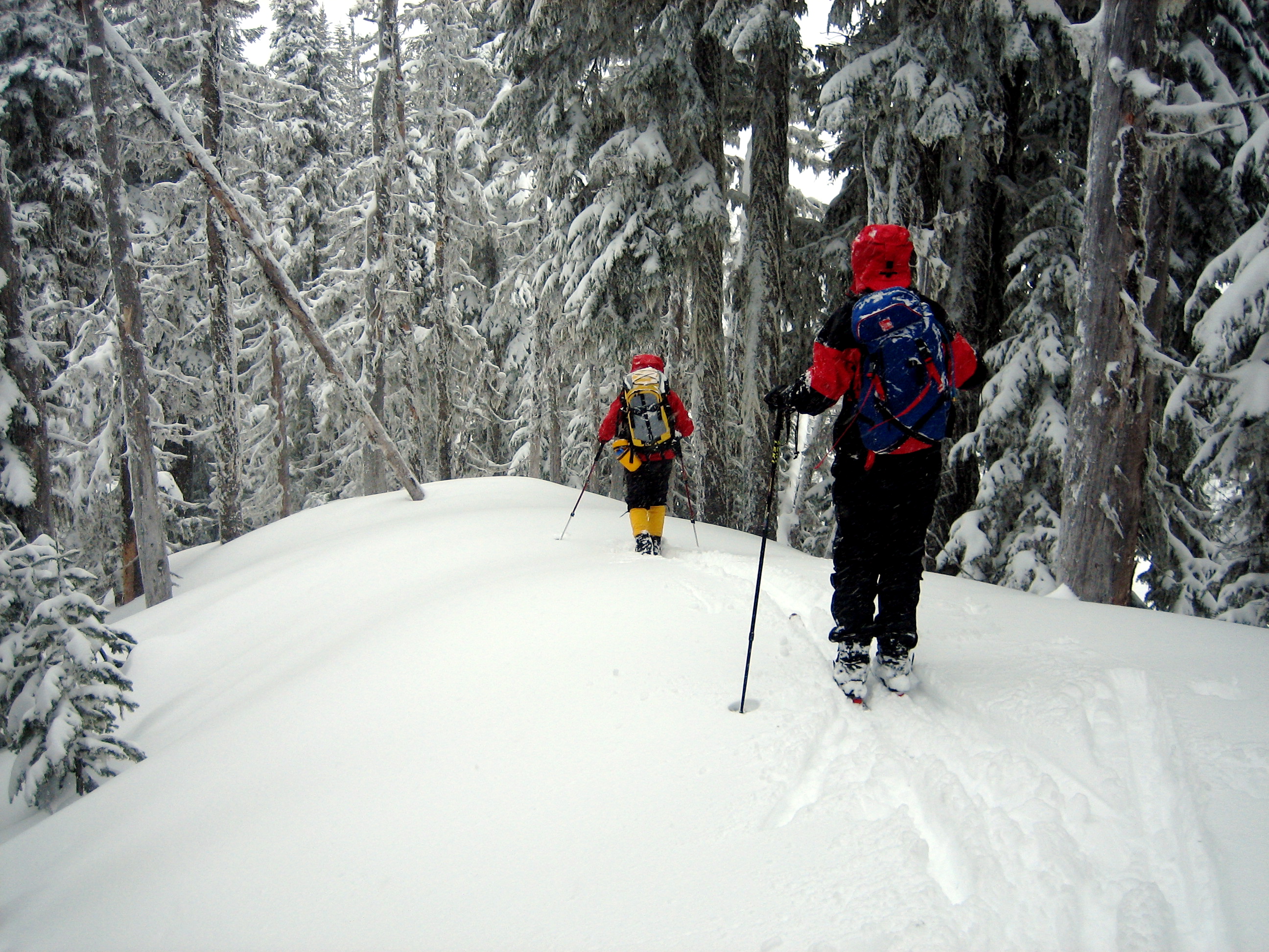 Two backcountry skiers traverse Elizabeth Ridge