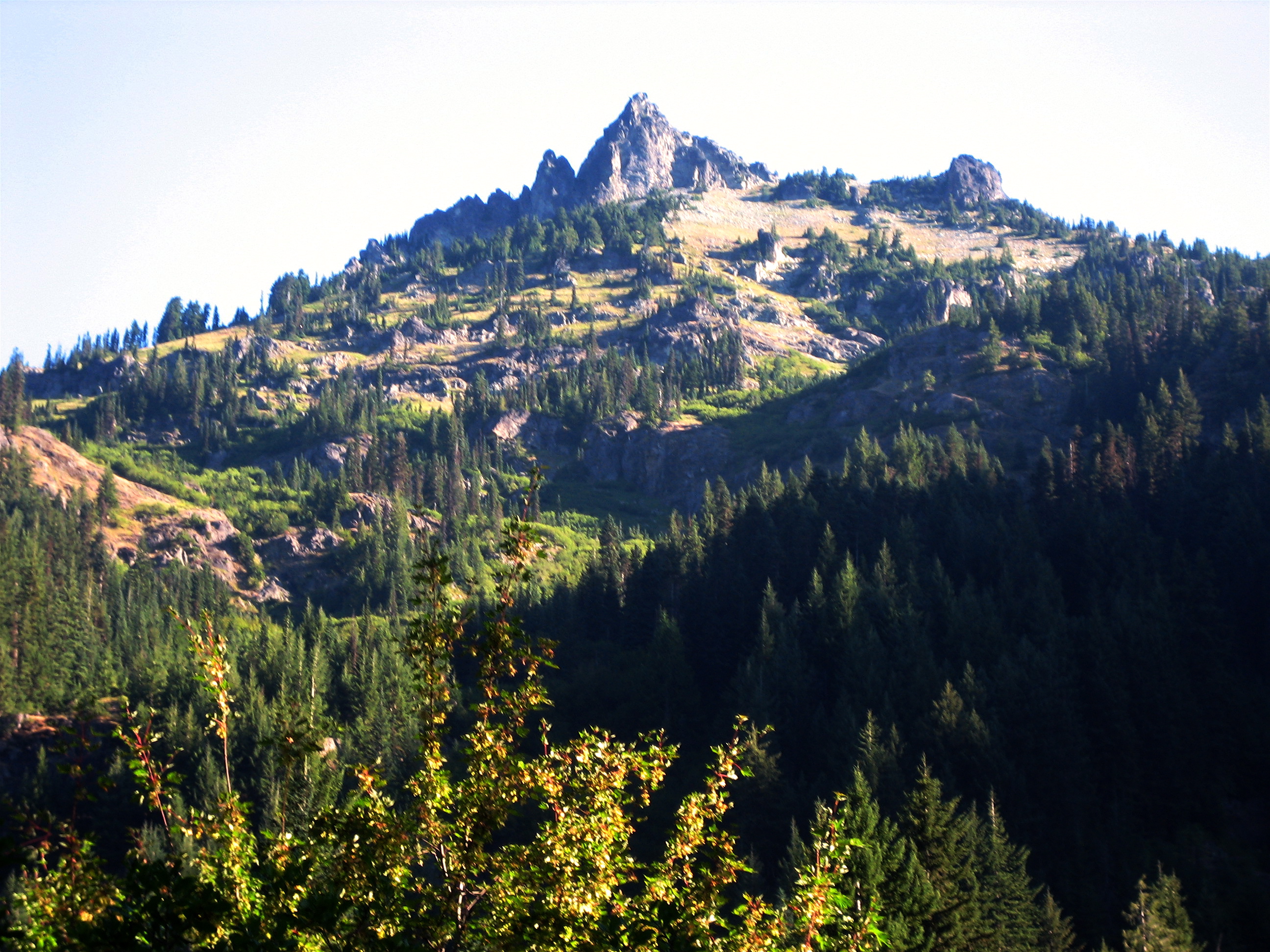 The sharp rocky summit of Hibox Peak rises out of a green forest in the Snoqualmie Mountains