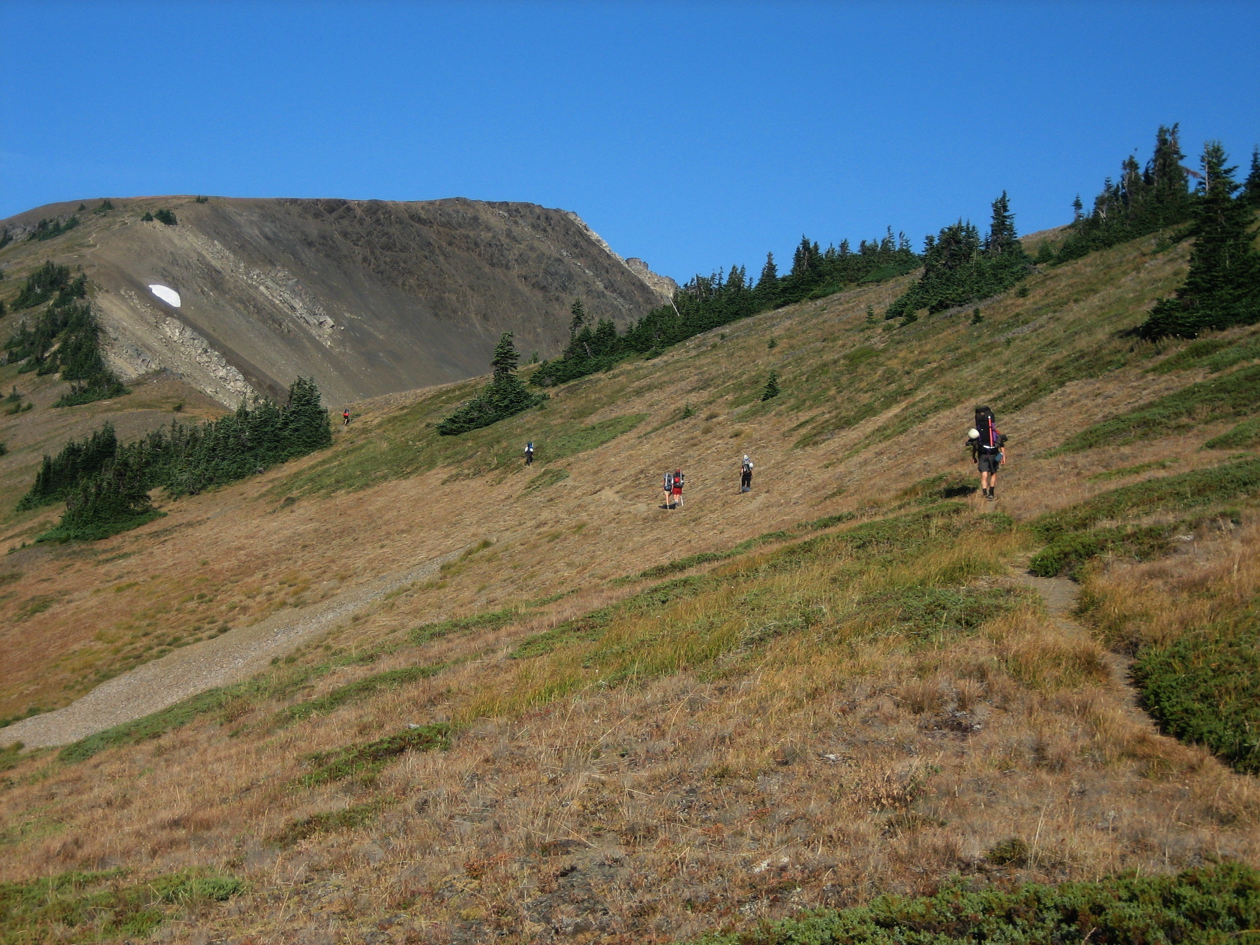 backpackers hiking along trail through the fall grasses Hiking along Del Monte Ridge in the Olympic Mountains