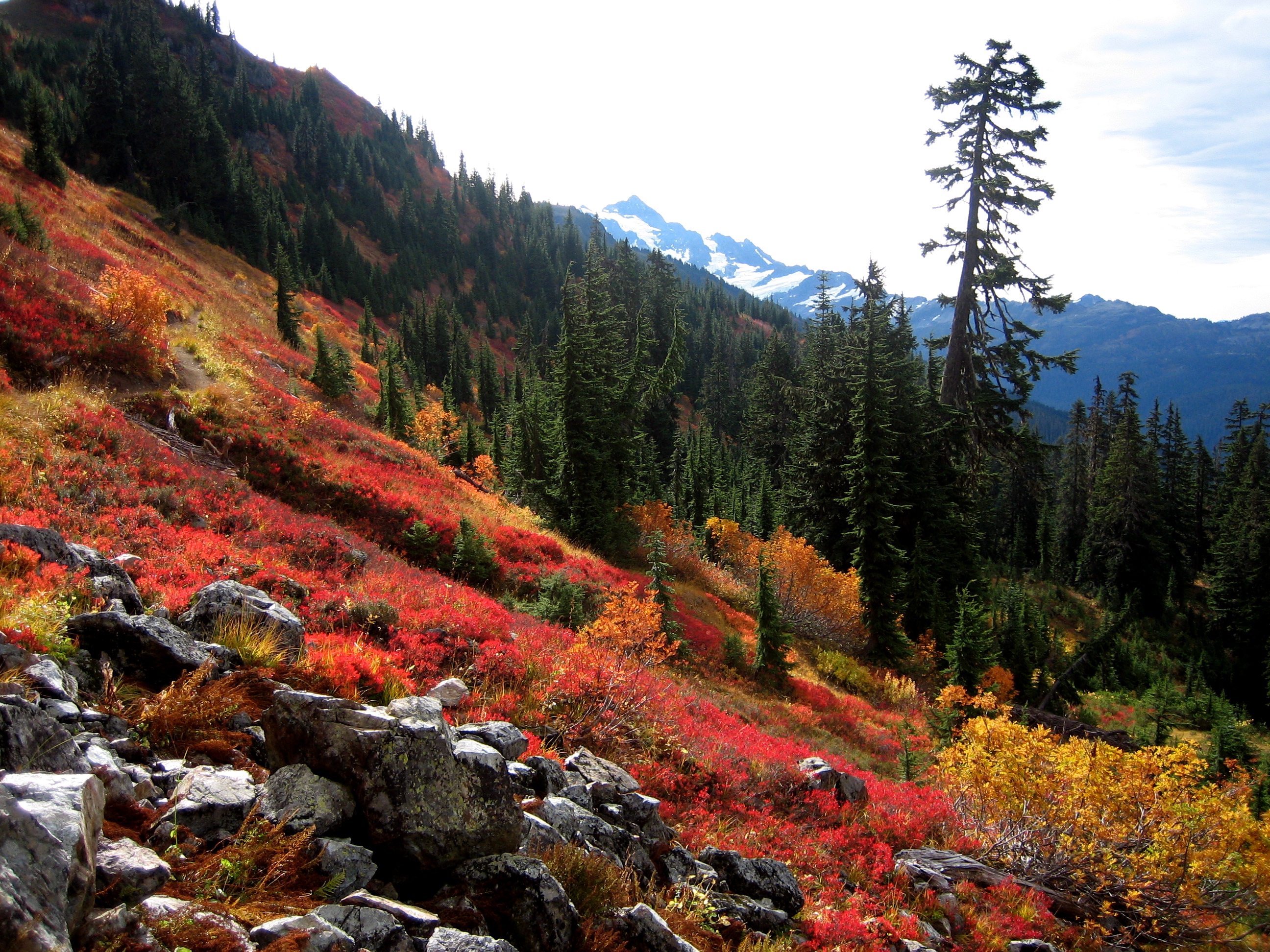 colorful autumn slopes in the Nooksack Mountains