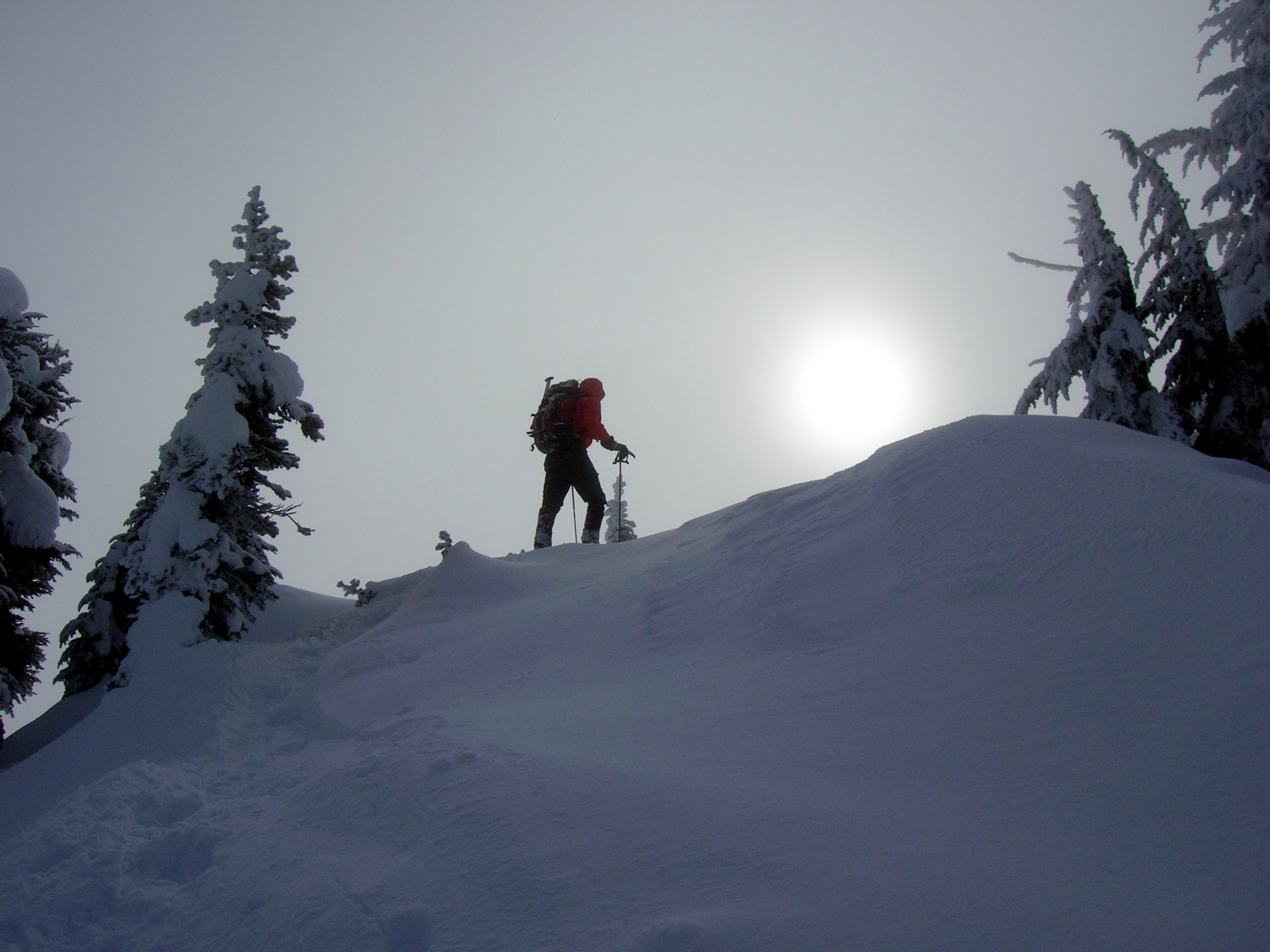 A lone shoeshoer ascends a snowy ridge on Big Chief Mountain