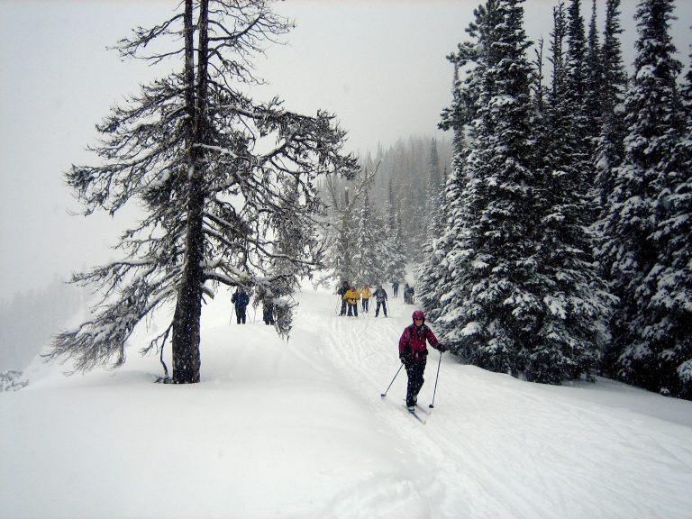 A large group of cross country skiers traverse a snowy ridge crest during the Hog Loppet