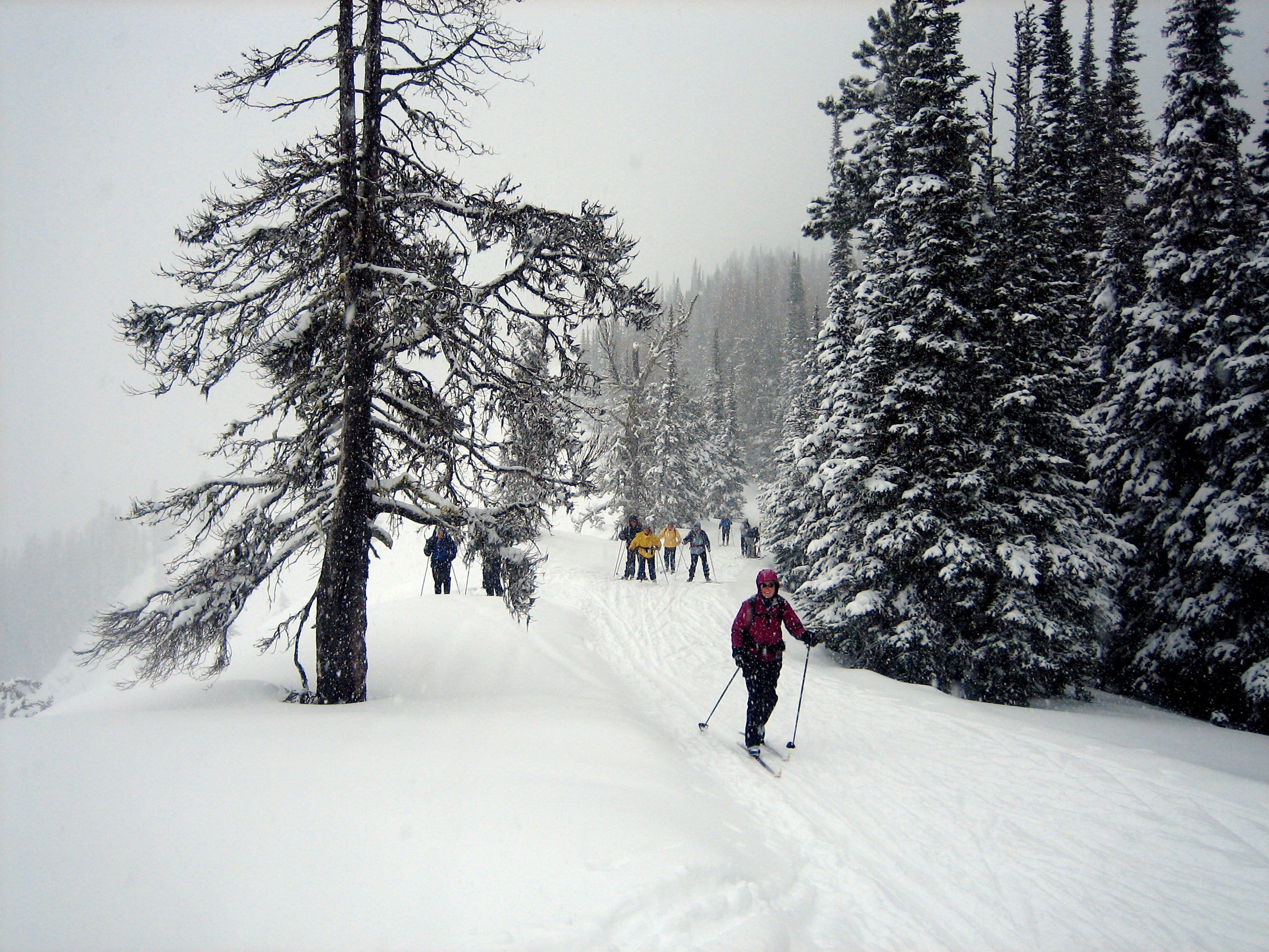 A large group of cross country skiers traverse a snowy ridge crest during the Hog Loppet