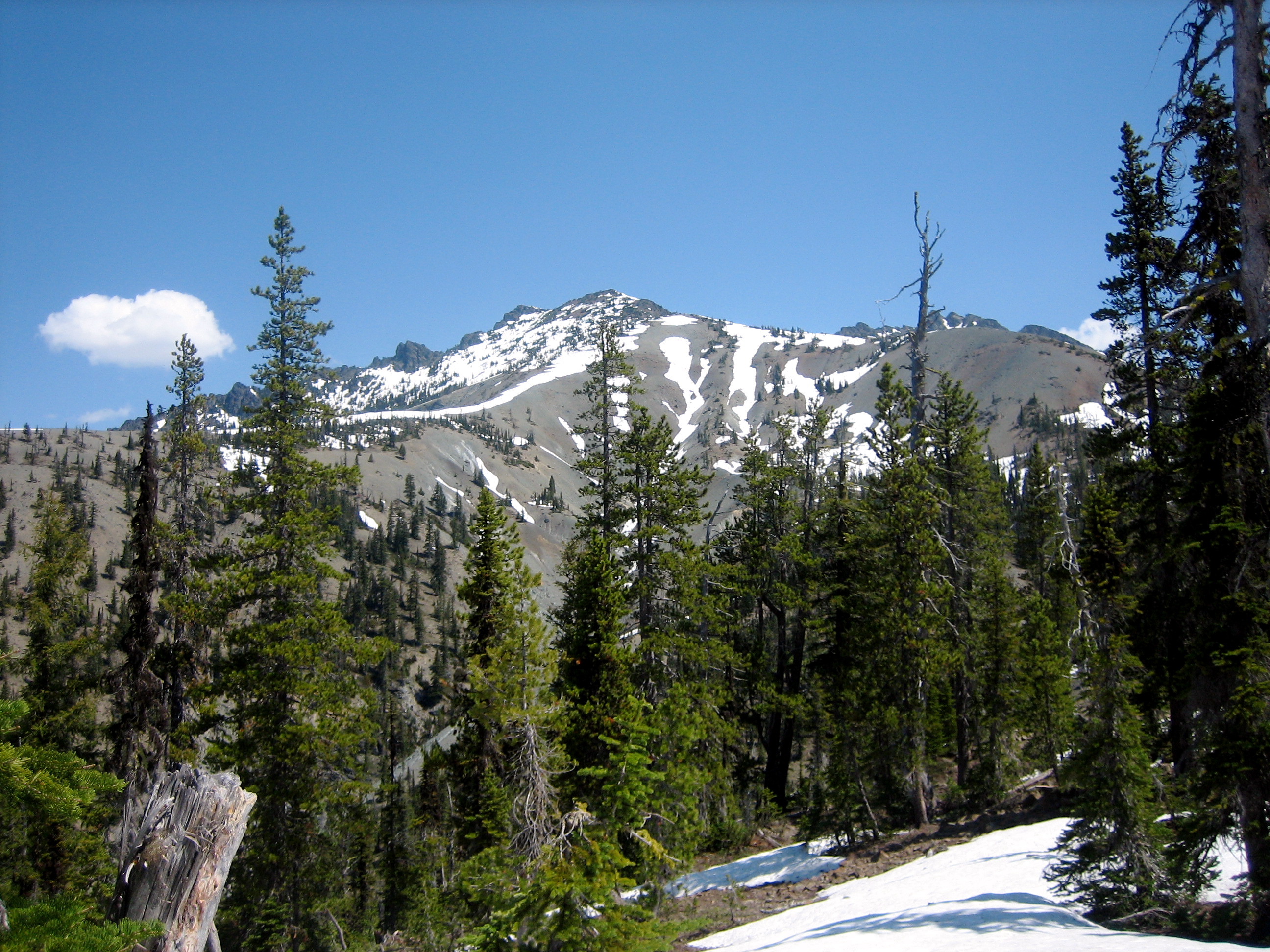 Hawkins Mountain in the Cle Elum Mountains rises above a row of evergreen trees