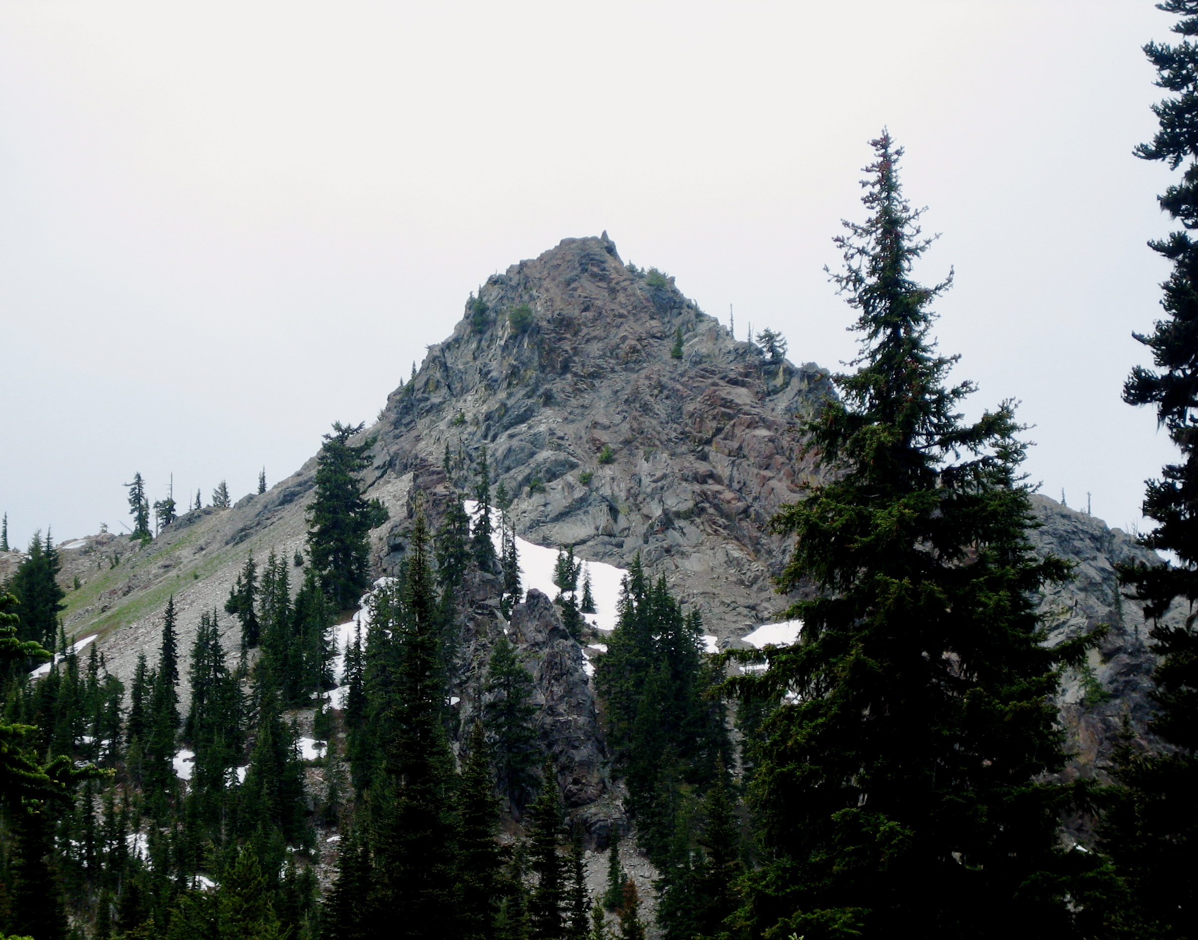 The triangular rock summit of Skookum Point rises above fir trees