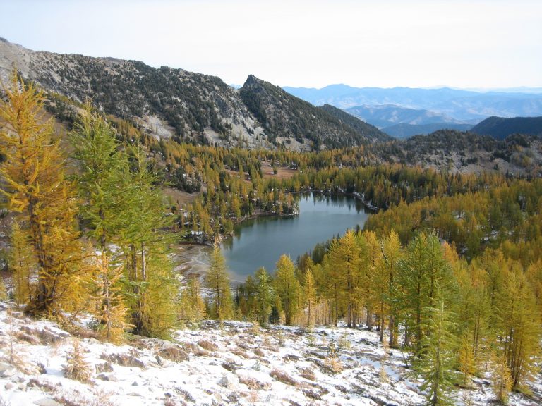 Cooney Lake sits in a bowl surrounded by golden larch trees in the Sawtooth Mountains