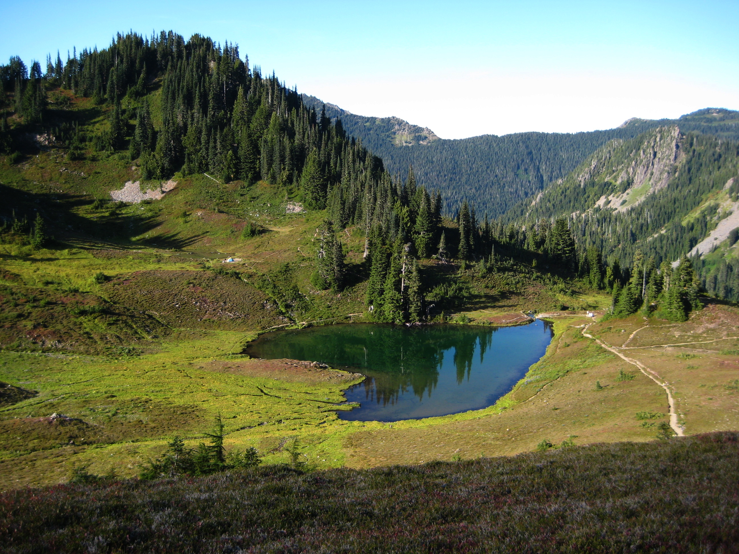 Looking down on Heart Lake in Olympic National Park surrounded by heather meadow with fall colors