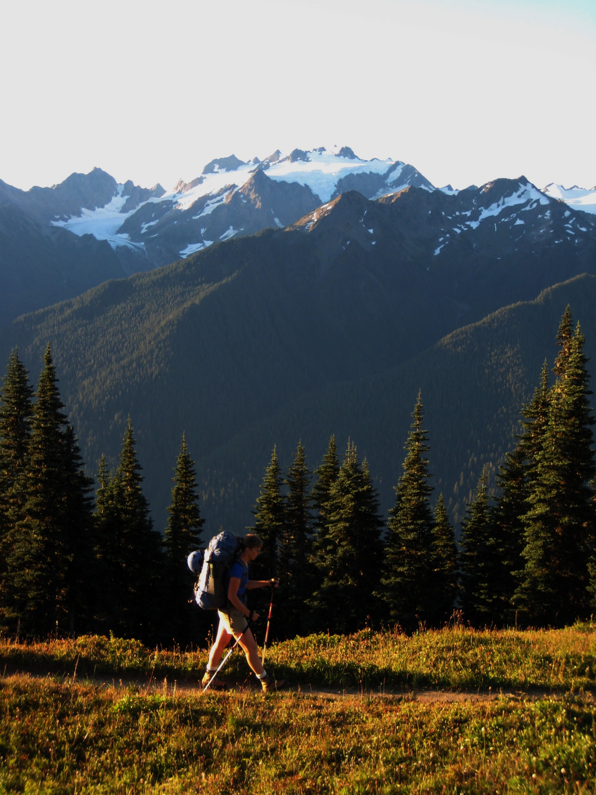 Mt Olympus in Olympic National Park in the background with a hiker in the foreground on the High Divide Trail in the Olympic Mountains on the Seven Lakes Loop