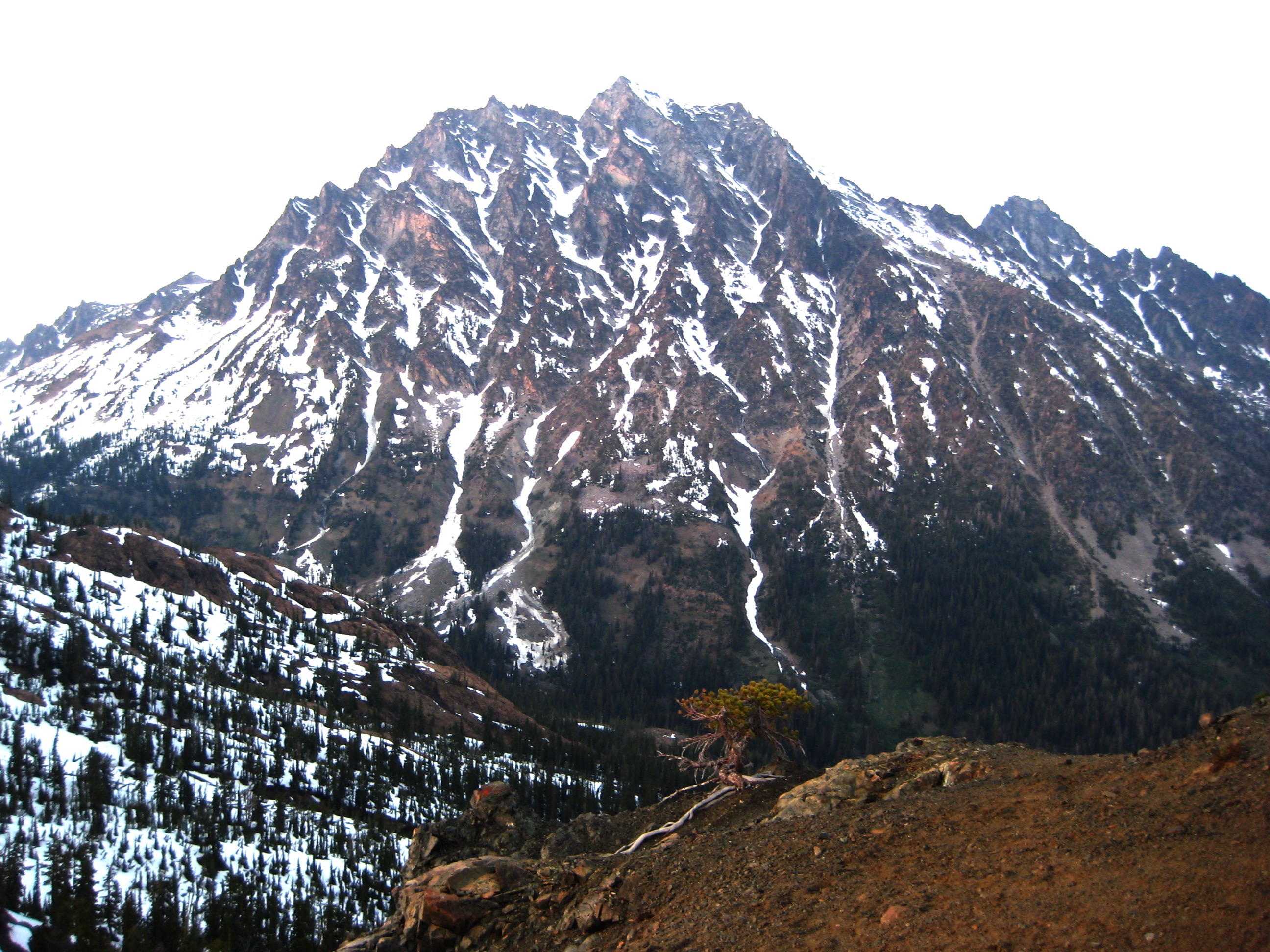 Looking across Ingalls Creek Valley at Mt Stuart streaked with vertical ribbons of snow as seen from Longs Pass