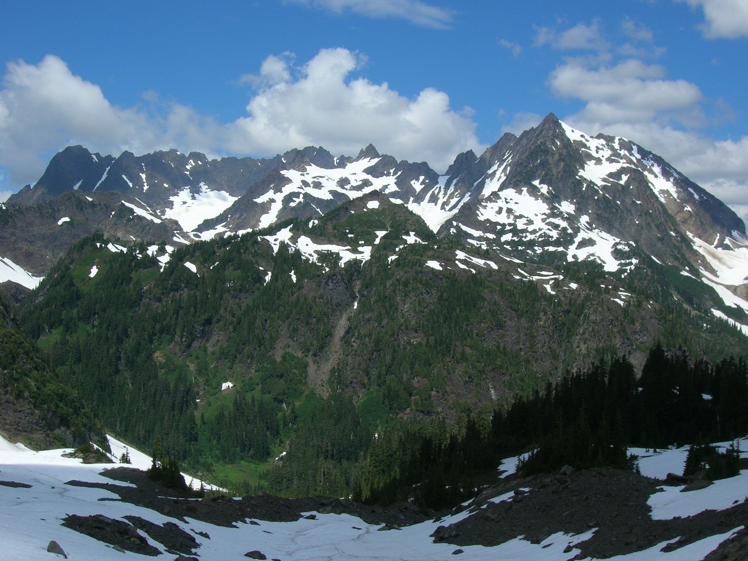 Looking across the Dosewallips River valley at Mt Anderson in the Olympic Mountains