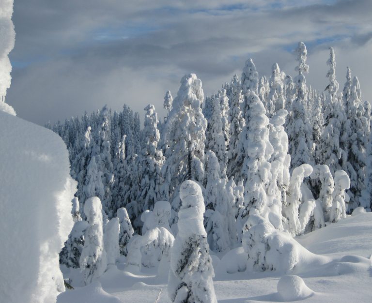 Snowy tree hoodoos cover a snowy Keechelus Peak mountaintop
