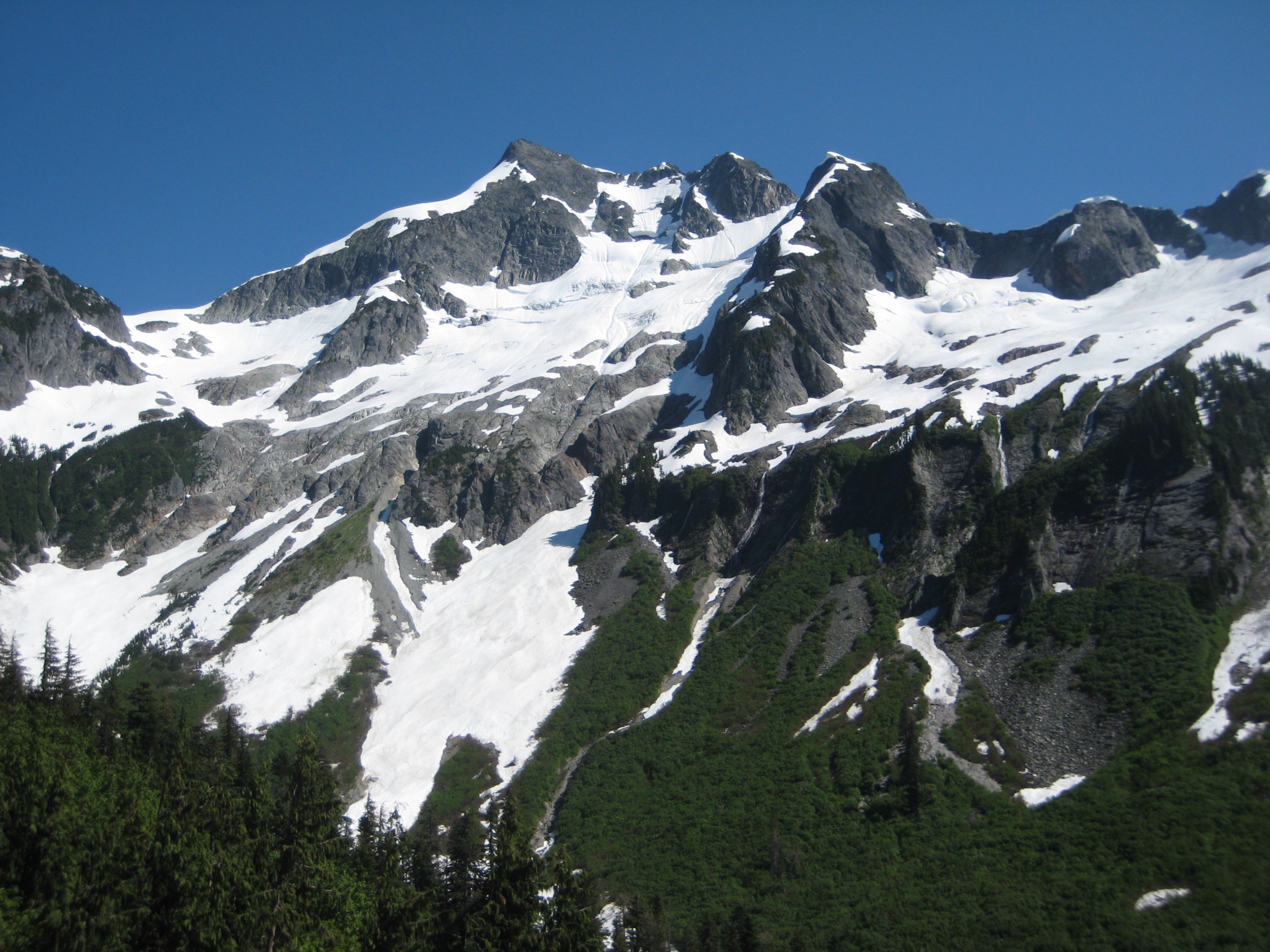 Looking up at Whatcom Peak with a forested valley taken from the Brush Creek Trail