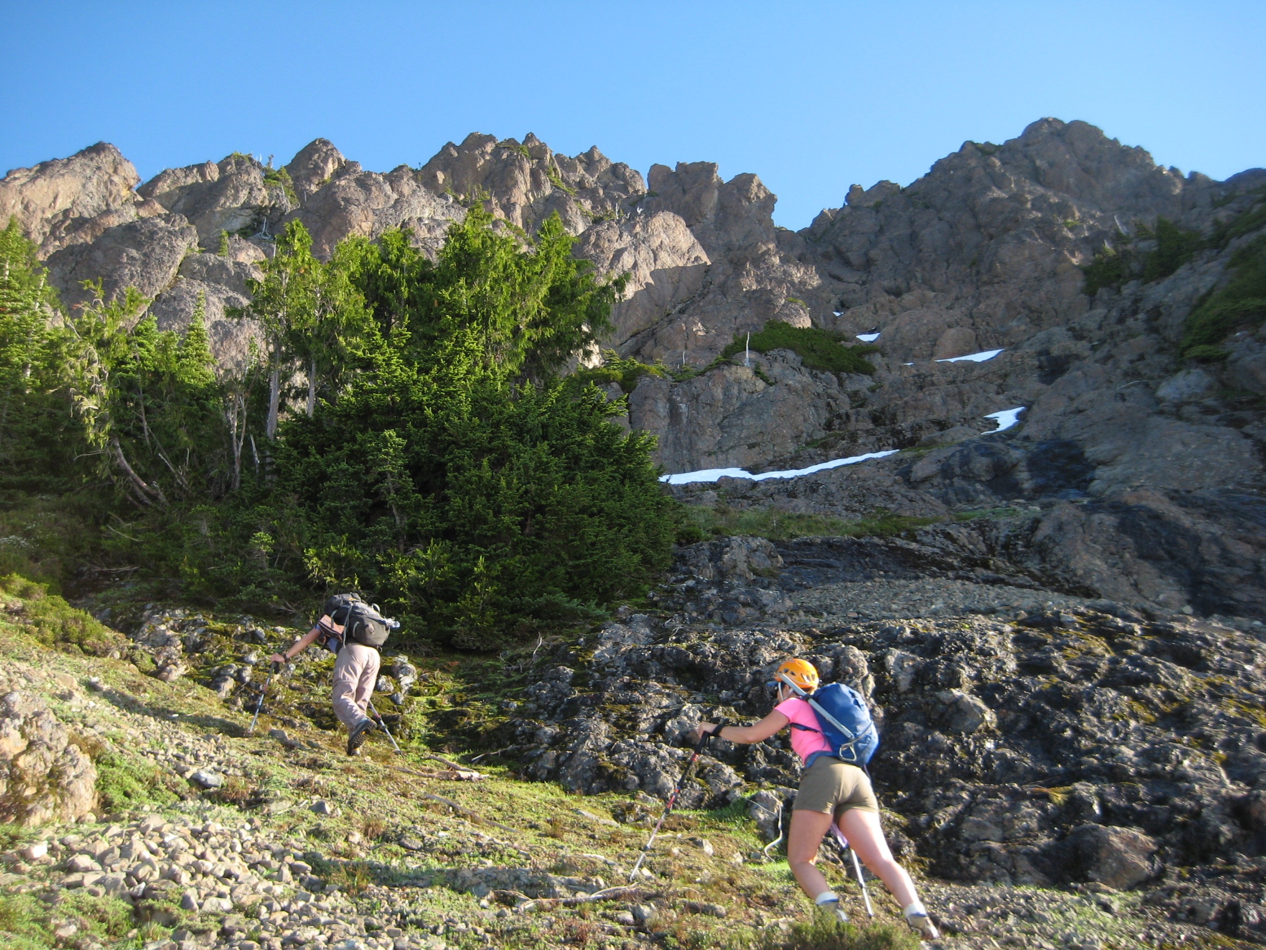 climbers hiking grassy slope with evergreen trees heading to South Brothers peak in the Olympic Mountains