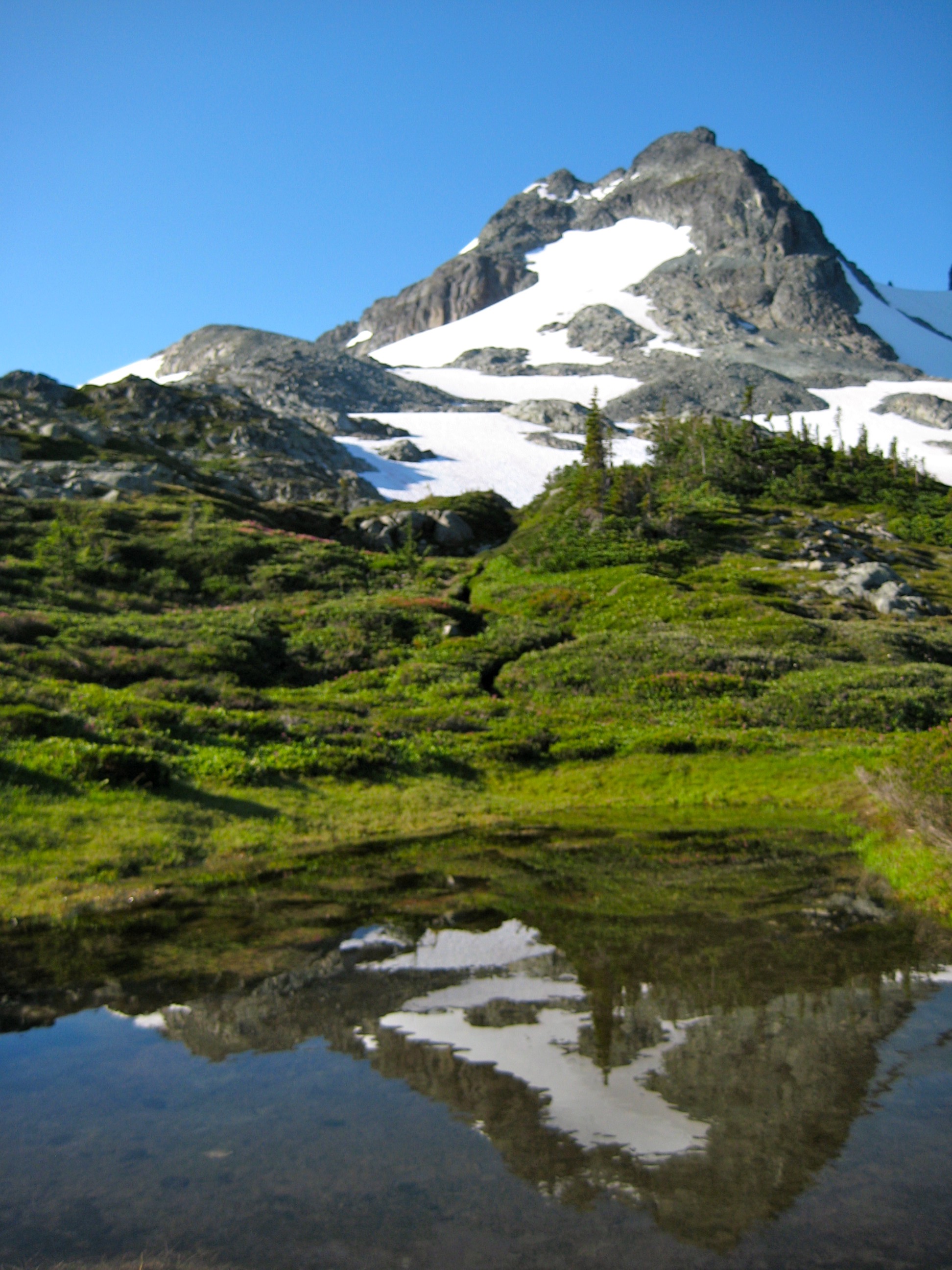 LeConte Mountain with heather fields and a tarn at LeConte Pass along the Ptarmigan Traverse