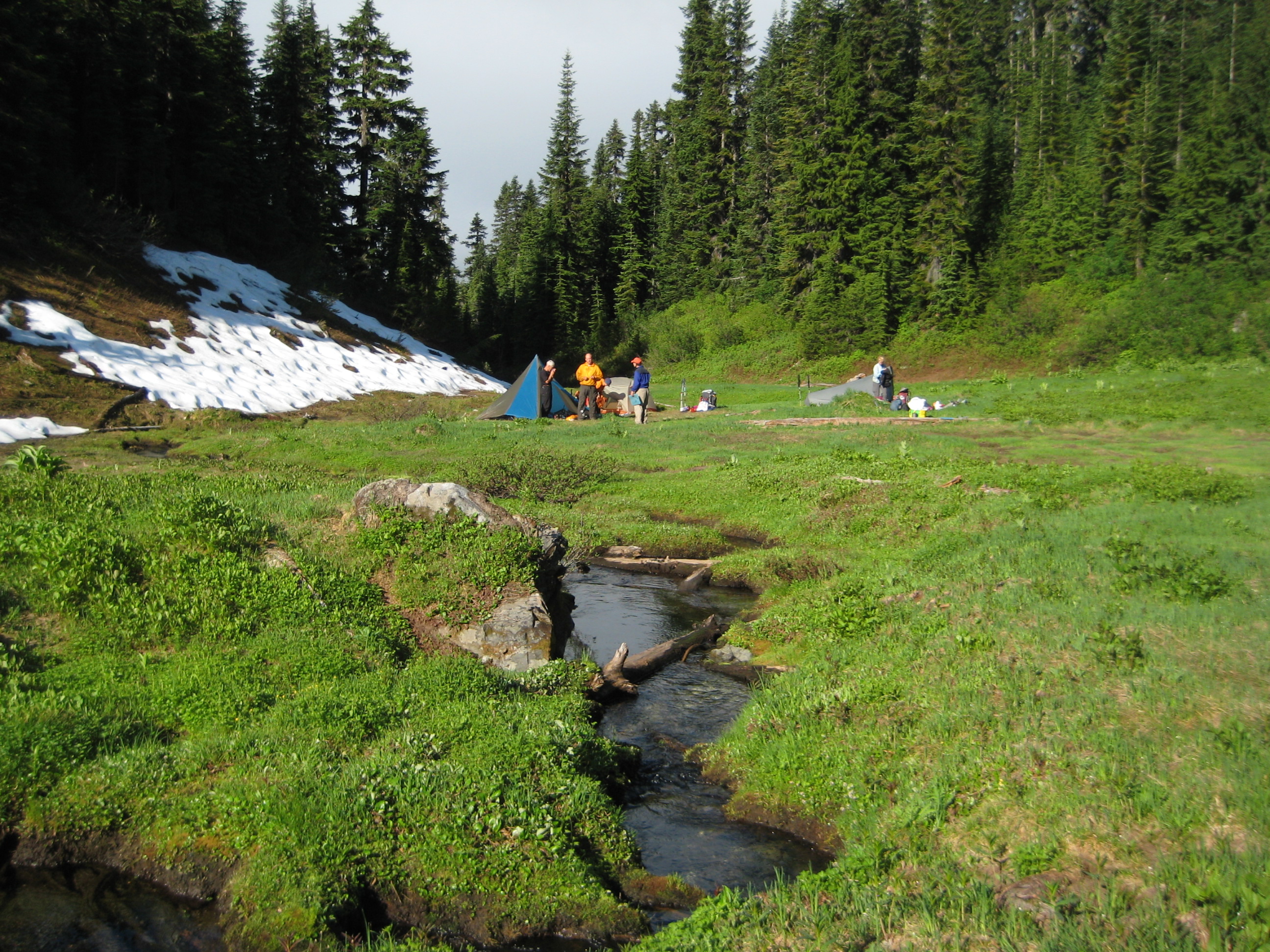 mountain climber's camp in Bachlor Meadows with creek in the heather anf linguring snow patches