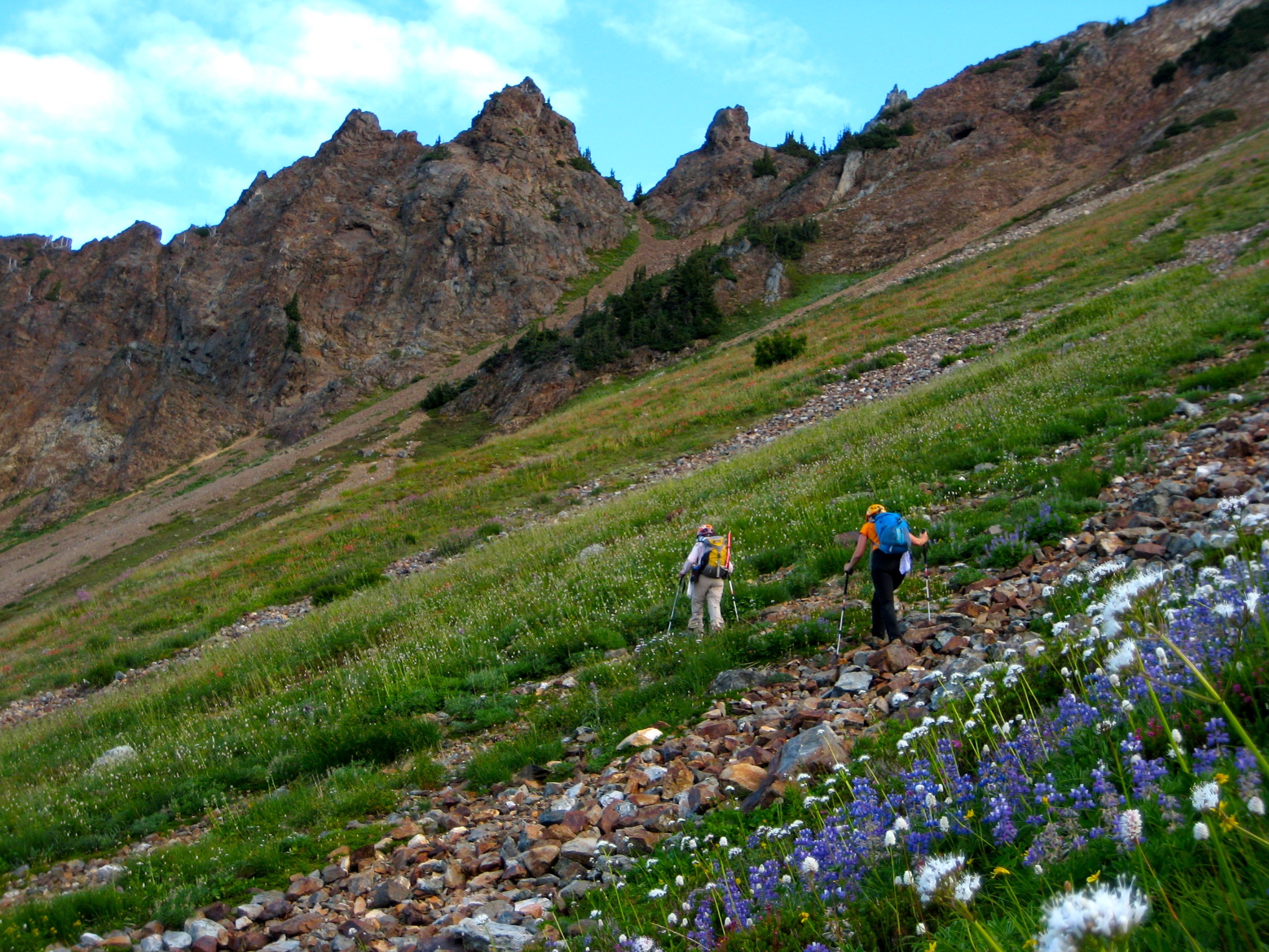 mountain climbers traversing through grassy talus fields heading towards rocky peaks and American Border Peak in the Mt Baker Wilderness