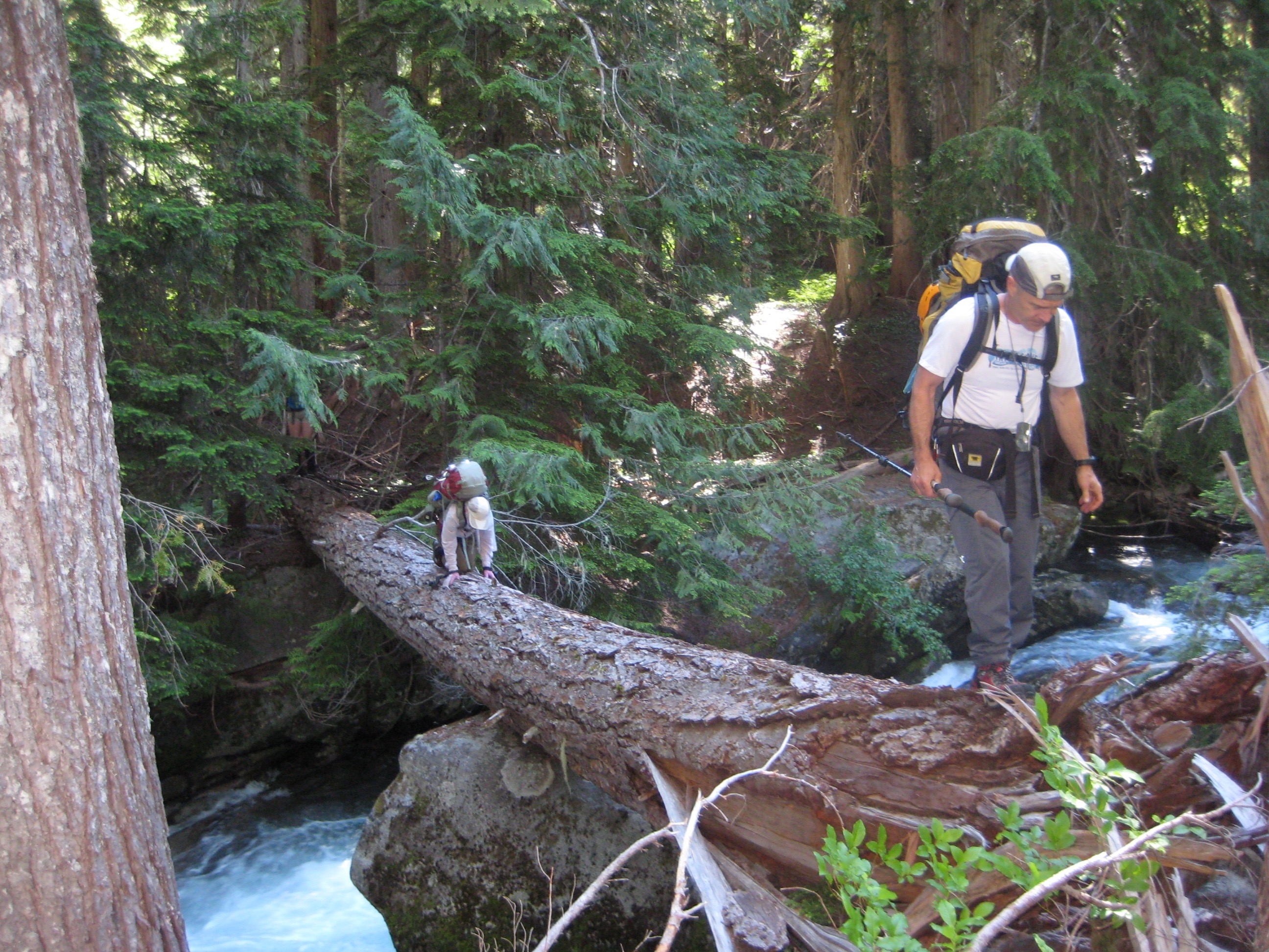 mountain climbers crossing log over Agnes Creek in the forest in the Glacier Peak Wilderness
