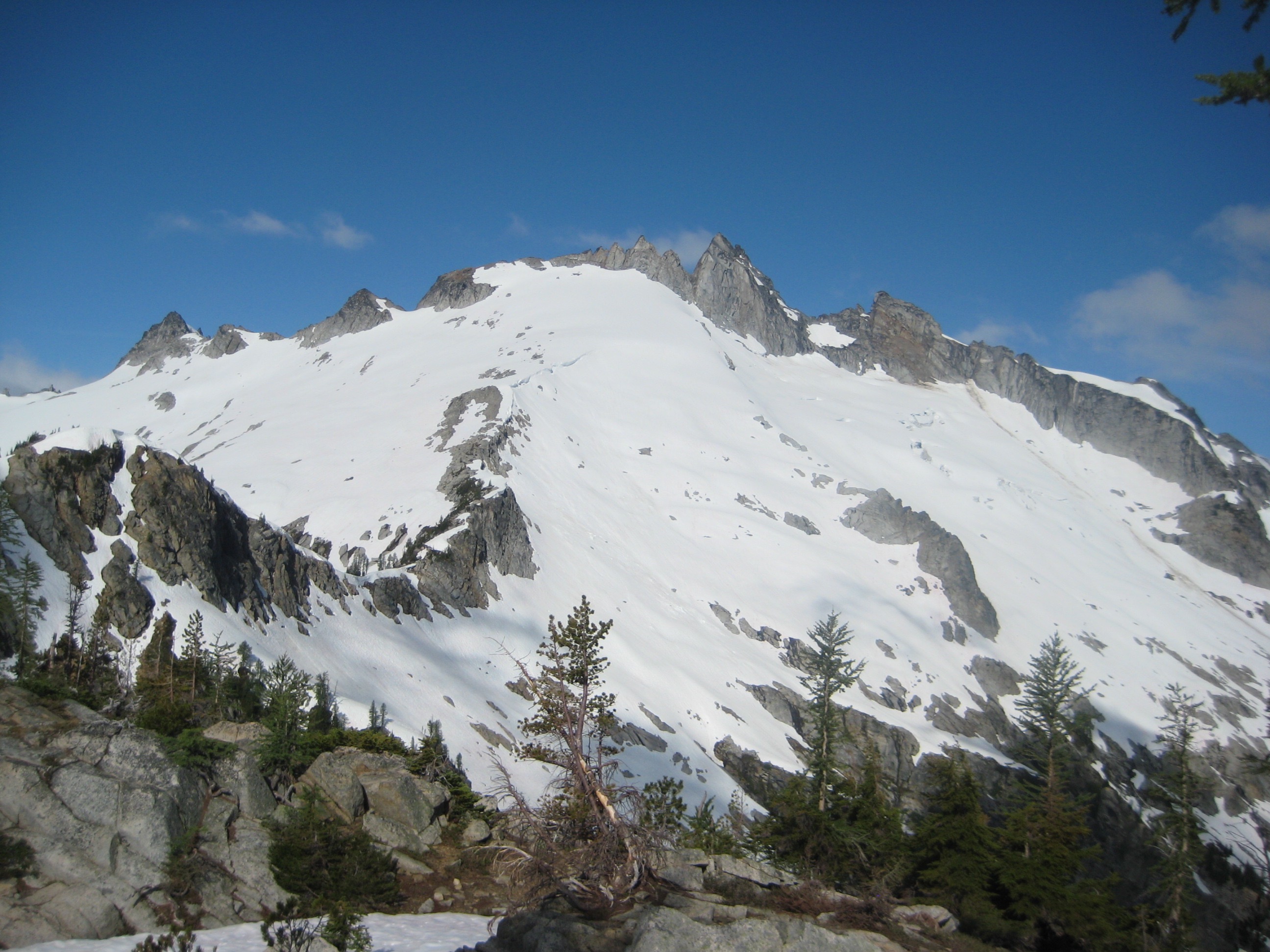 snow fields on Gunsight Peak as seen from Icy-Spruce Pass in the Glacier Peak Wilderness