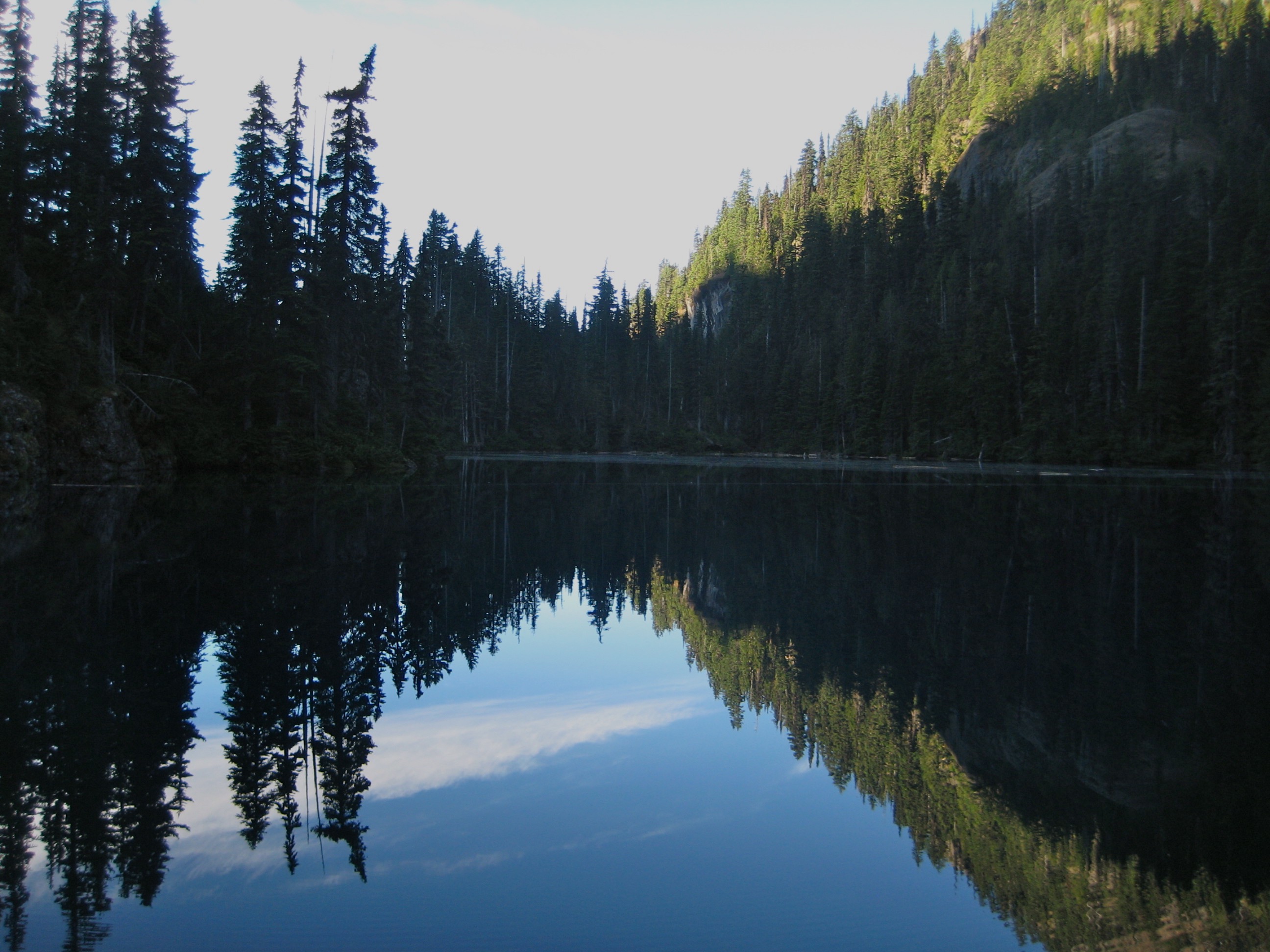 evening light on Lake Constance with a lake reflexion of evergreen trees in the Olympic Mountains