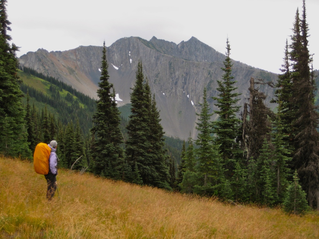 A backpacker stands in a grassy meadow overlooking Jackita Ridge while hiking the Skagit King Circuit trail around Jack Mountain