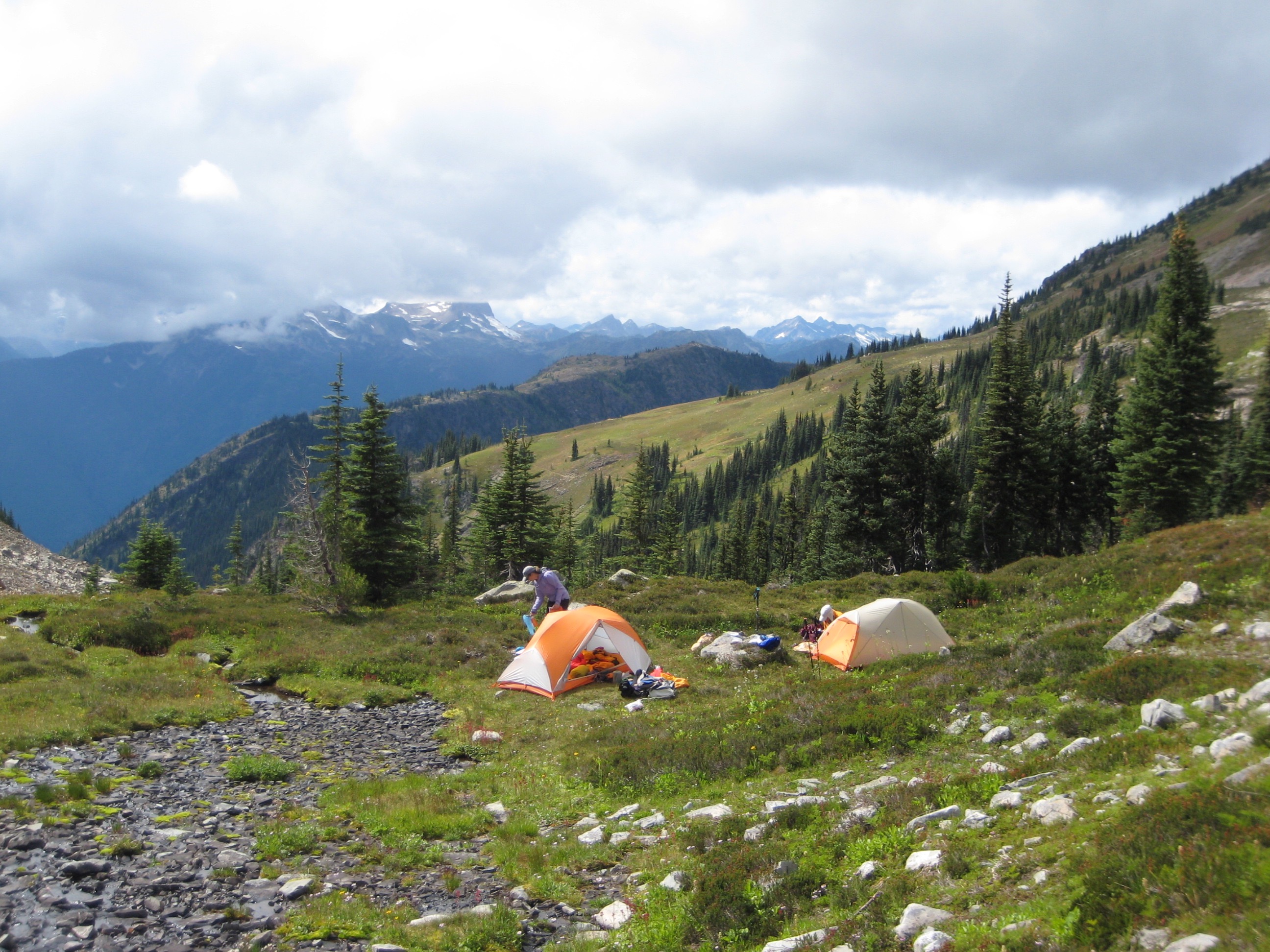 backpacker's camp in Bear Skull Basin on the Jack Mountain circuit in the Upper Skagit Mountains with green grass and evergreen trees in the distance