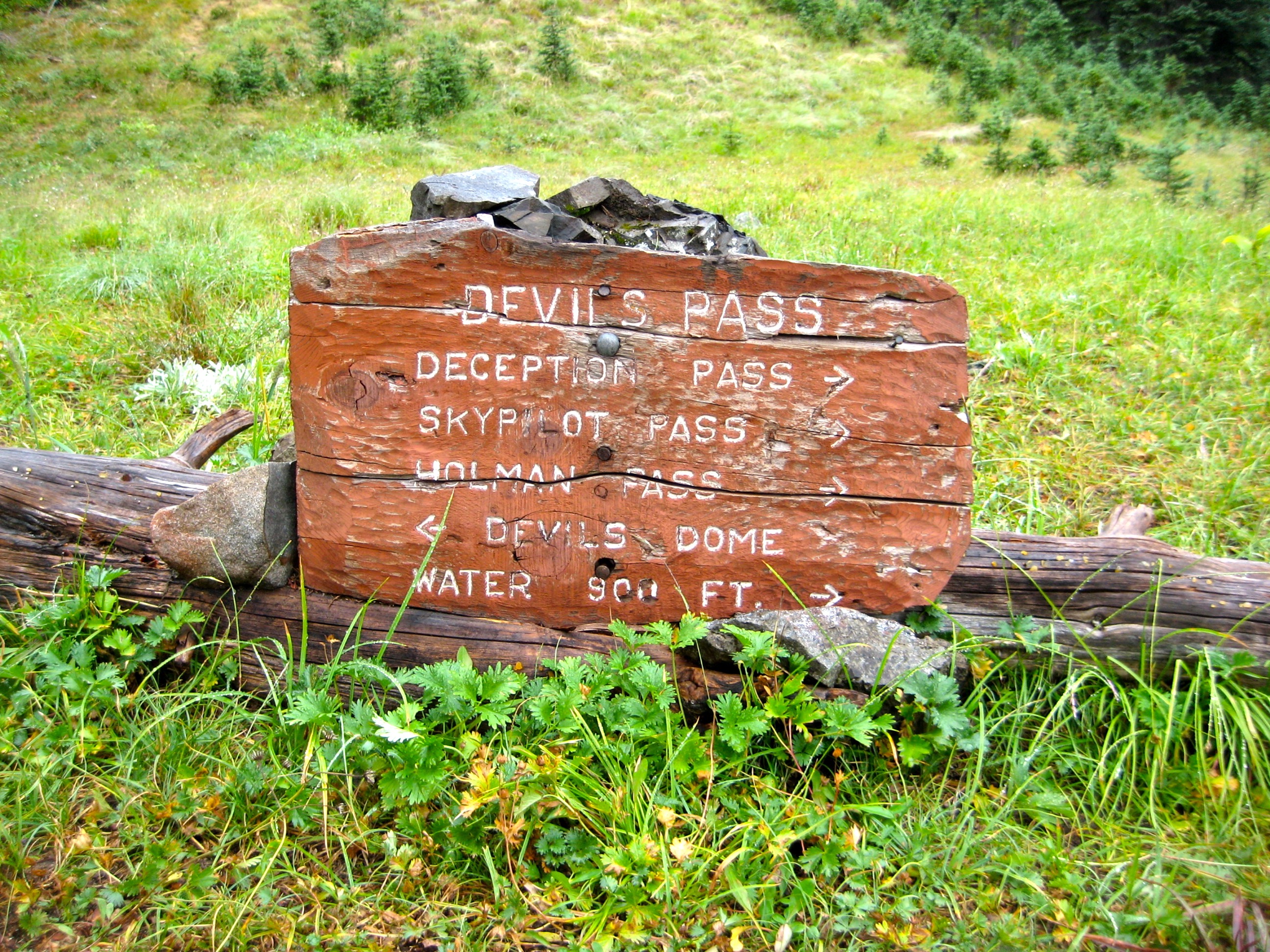 Devil's Pass on the Jack Mountain High Circuit Trail in the Upper Skagit Mountains sits on the ground ina green field