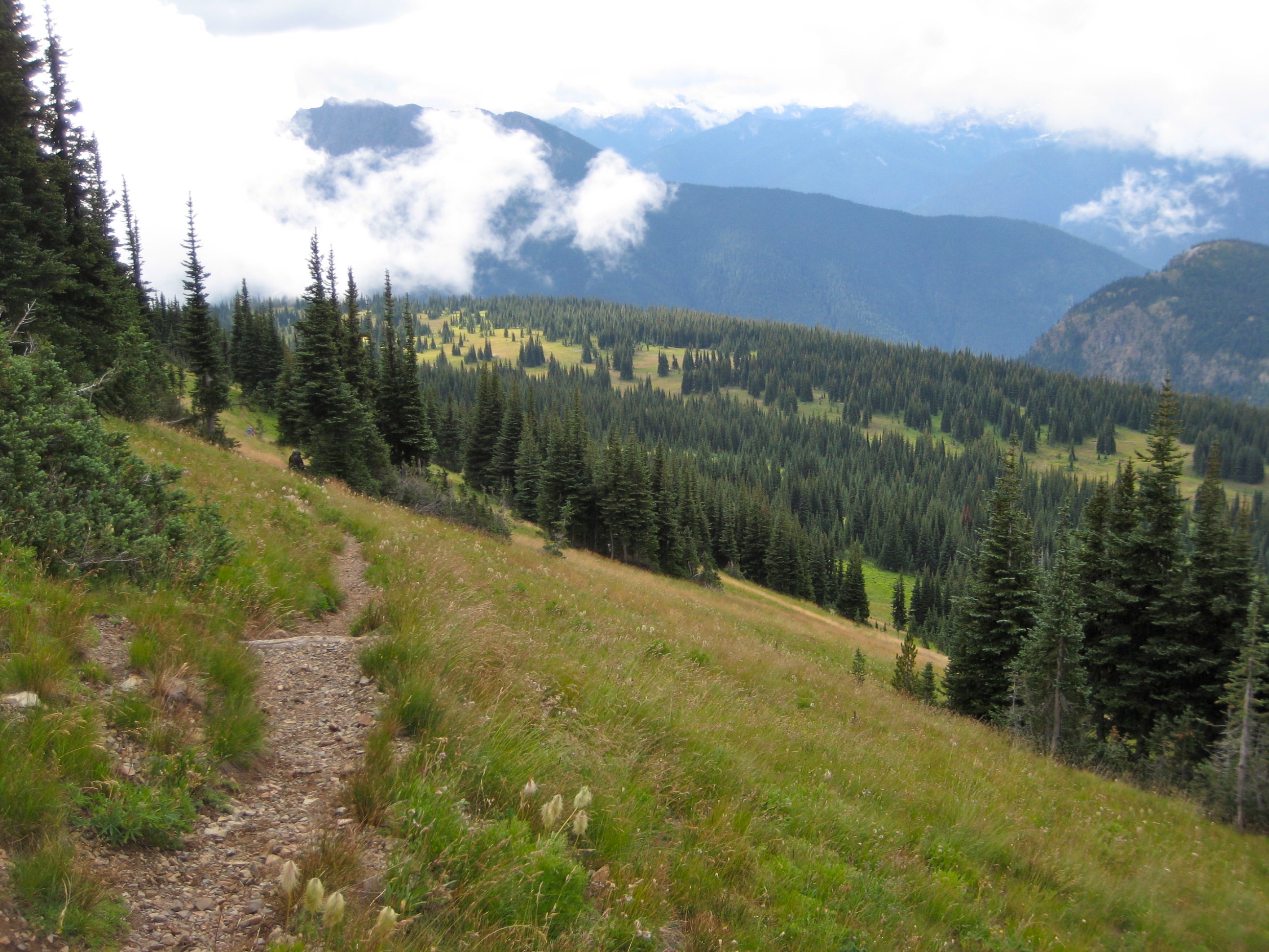 looking down into Devils Park in the Upper Skagit Mountains with the Jack Mountain High Circuit Trail with fall colored grasses in the foreground