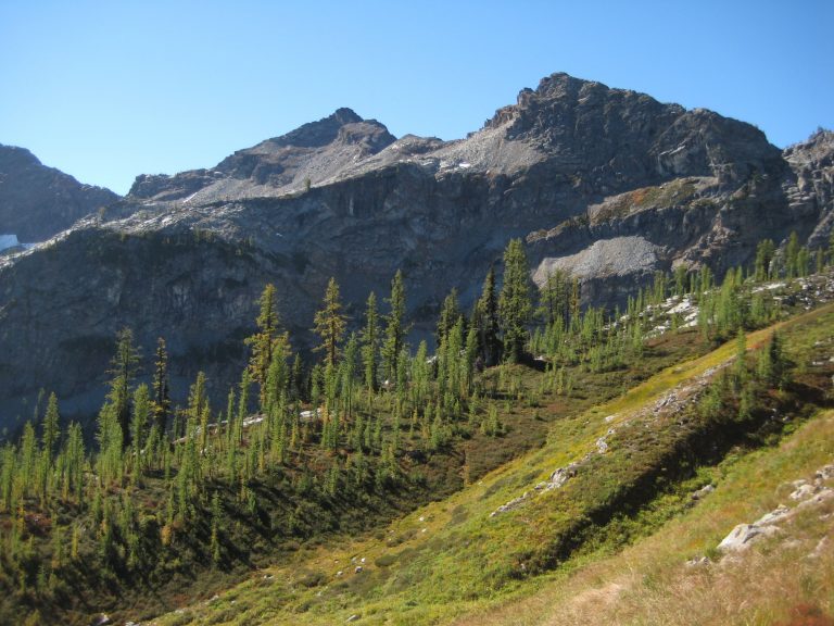 Looking across a green hillslope to Frisco Mountain from Maple Pass Loop Trail