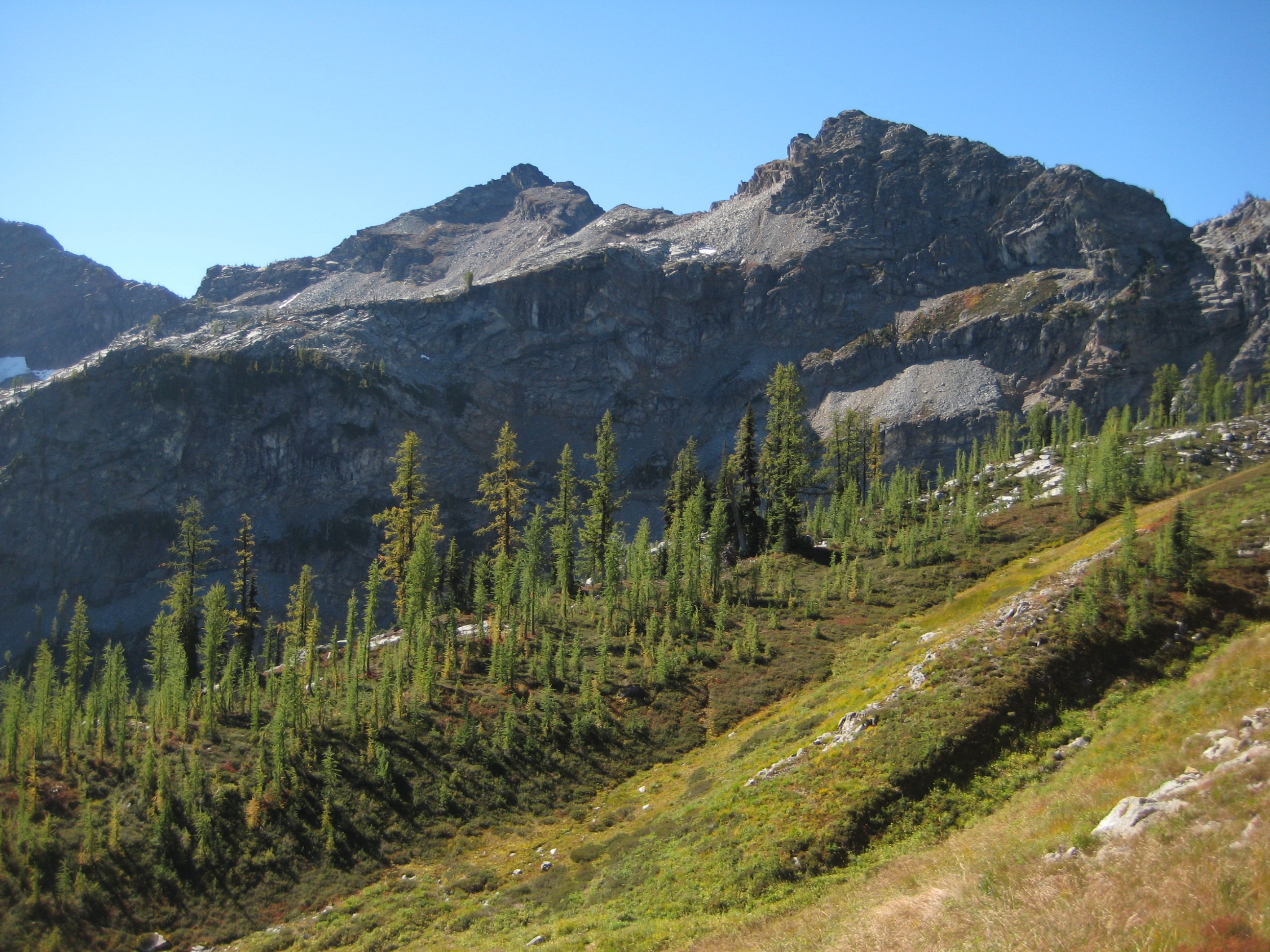Looking across a green hillslope to Frisco Mountain from Maple Pass Loop Trail