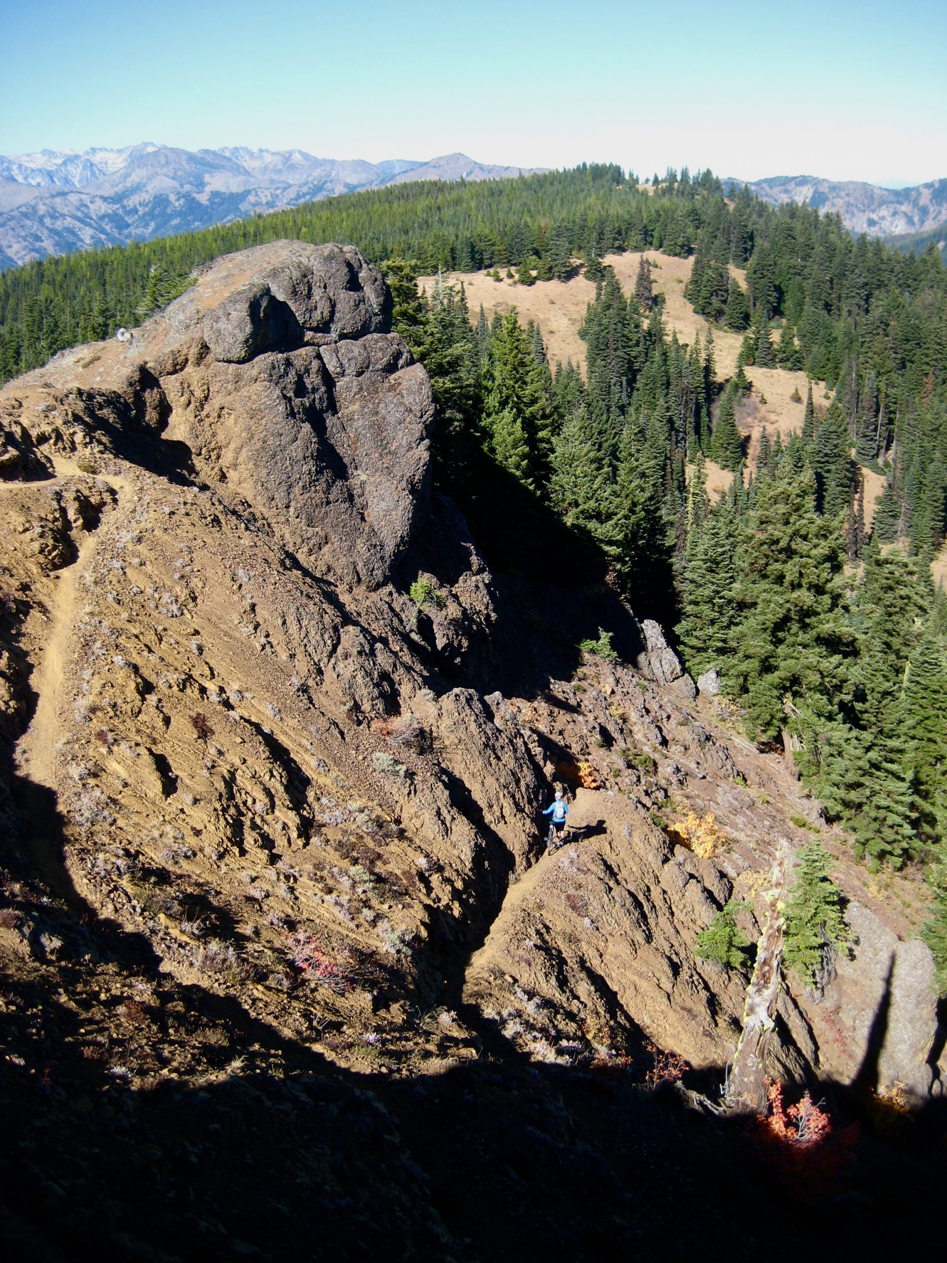 Descending North Trail From Red Top Lookout
