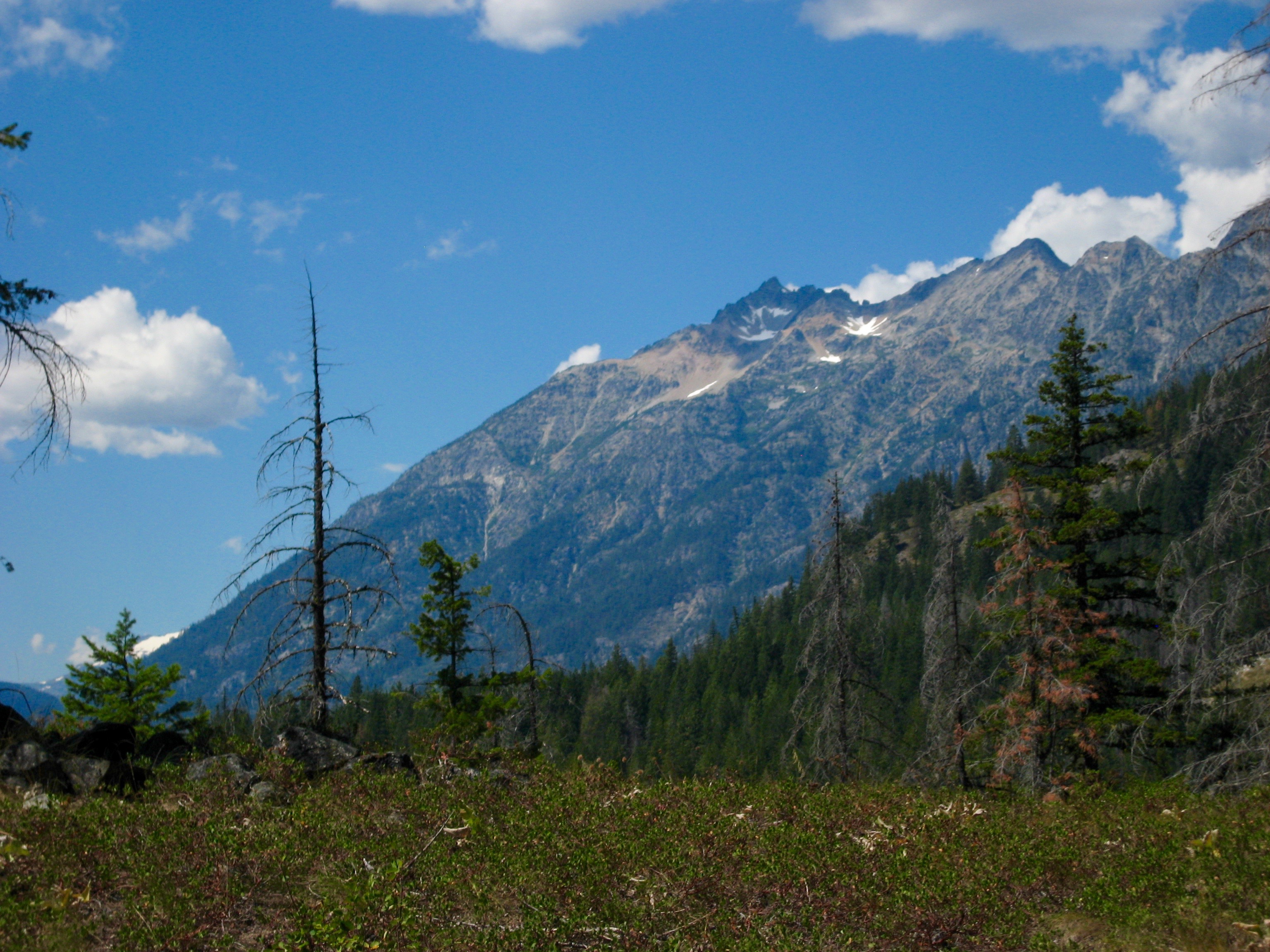 McGregor Mountain as seen from Rainbow Trail in the Stehekin Mountains with meadow heather in the foreground