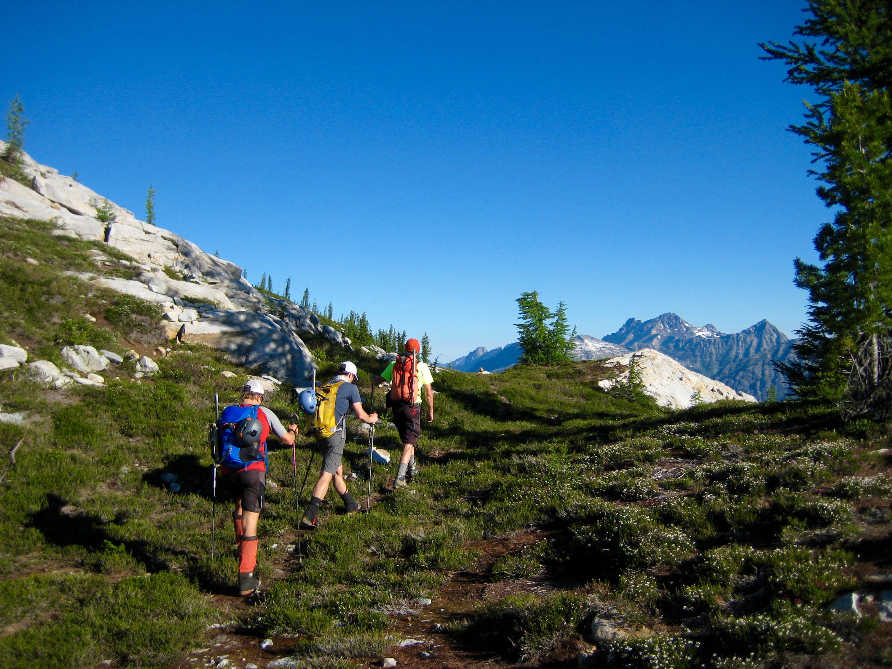 mountain climbers hiking through heather heading up McGregor Ridge in the Stehekin Mountains