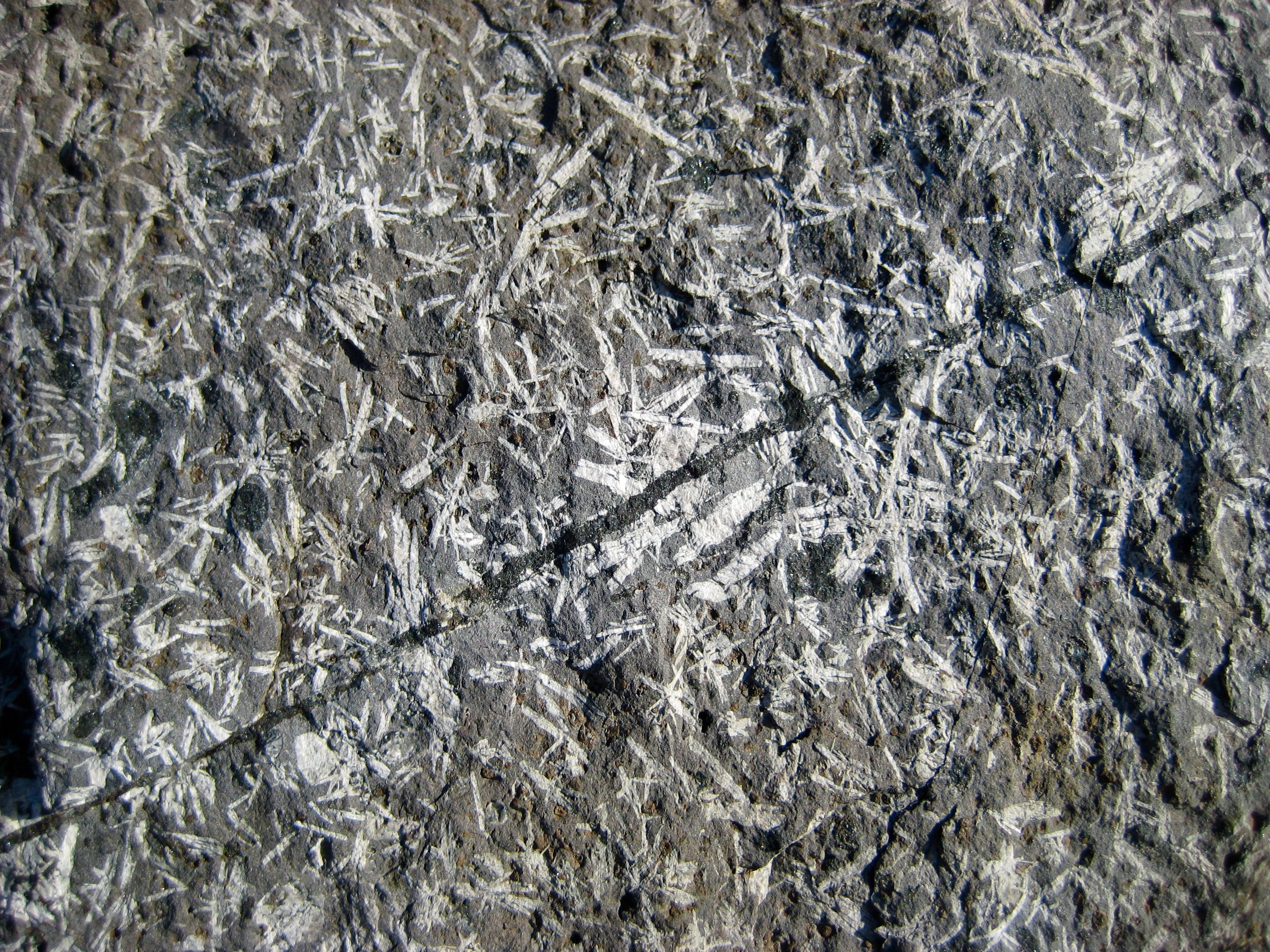 Porphyritic Andesite at the base of Mt Thomson in the Snoqualmie Mountains