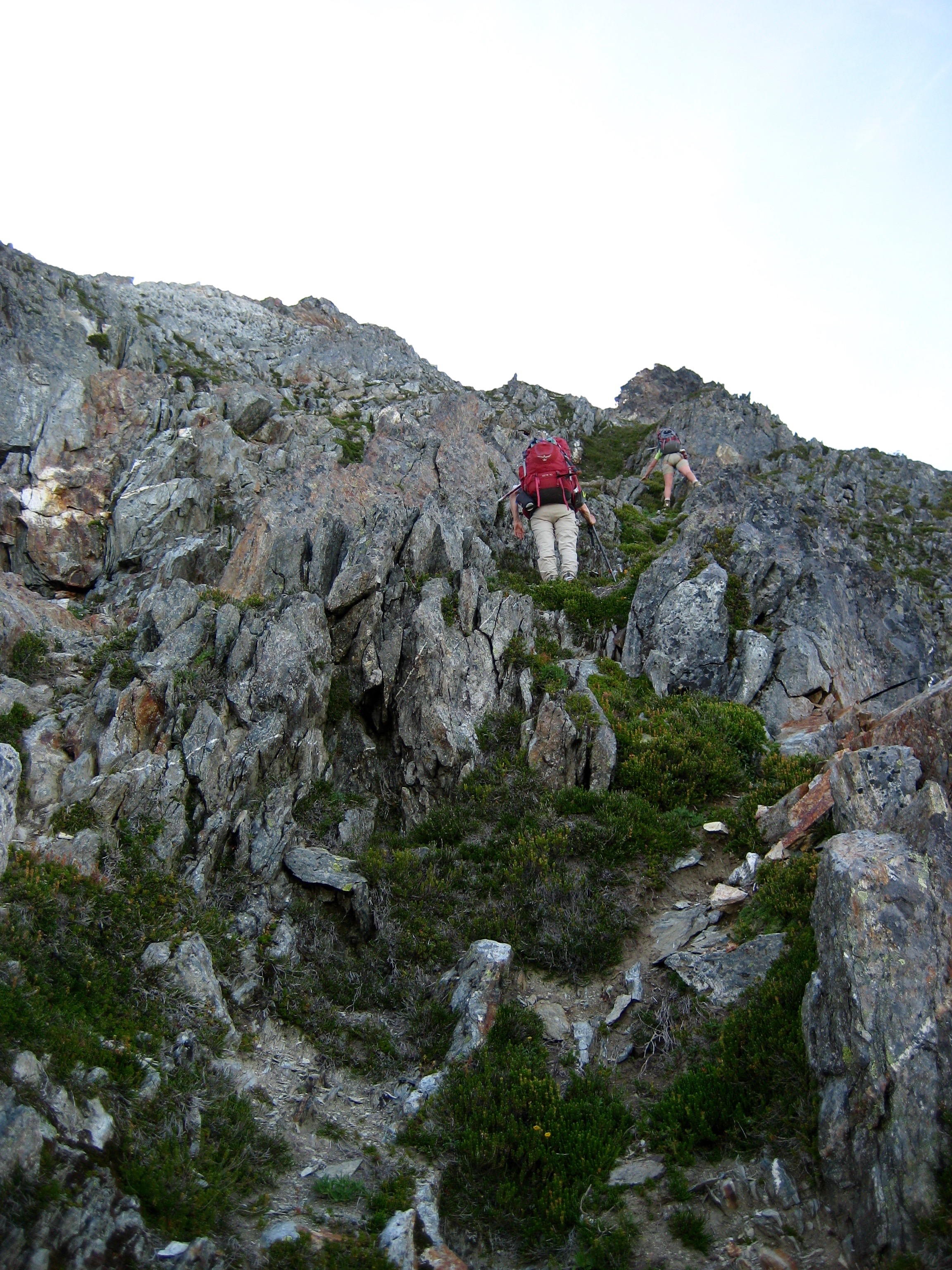 mountain climbers scrambling rock and heather ramp to Dougs Direct enroute to Johannesburg Mountain in the North Cascades National Park