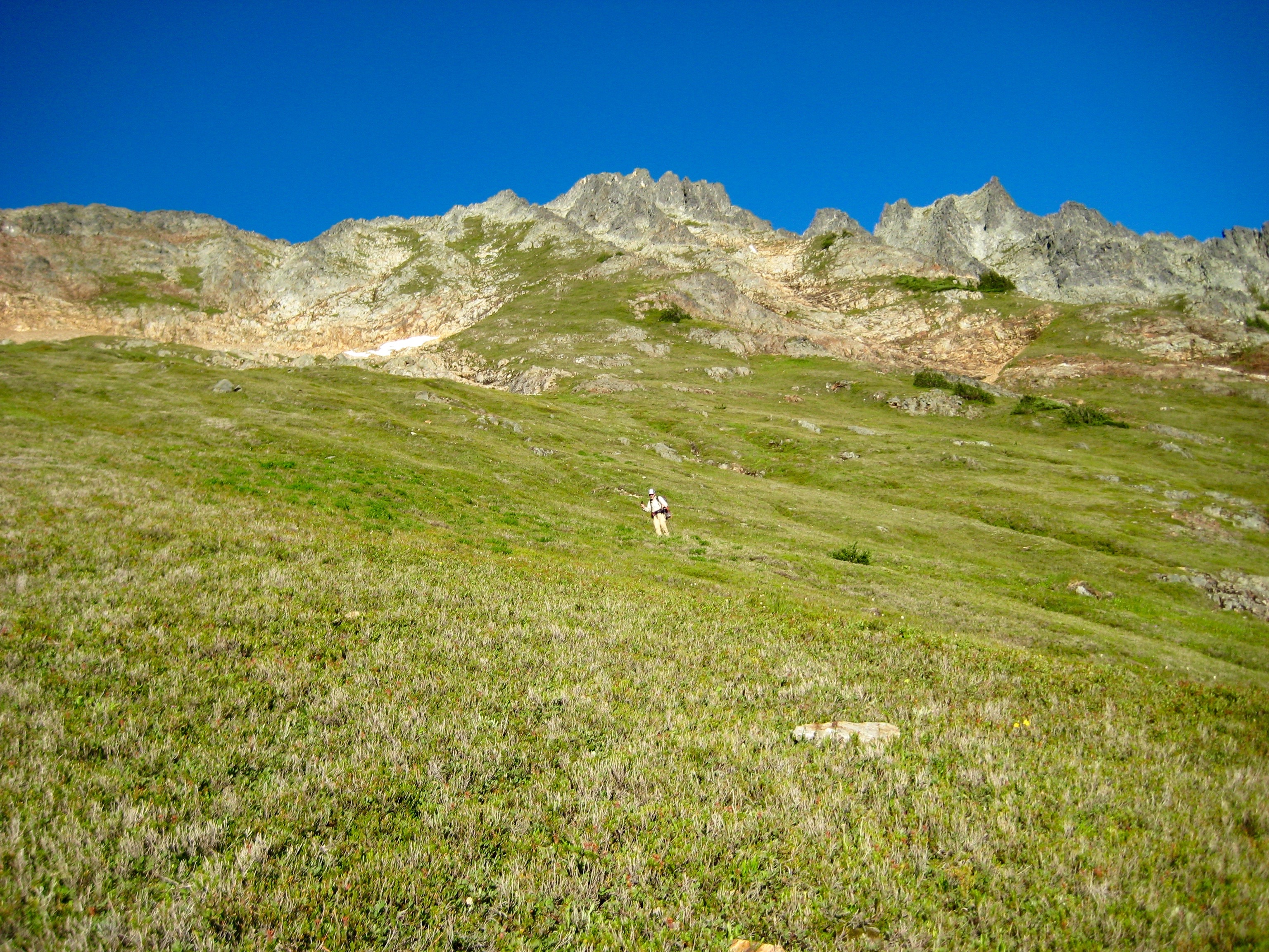 mountain climber descending steep heather below Mixup Peak in North Cascades National Park